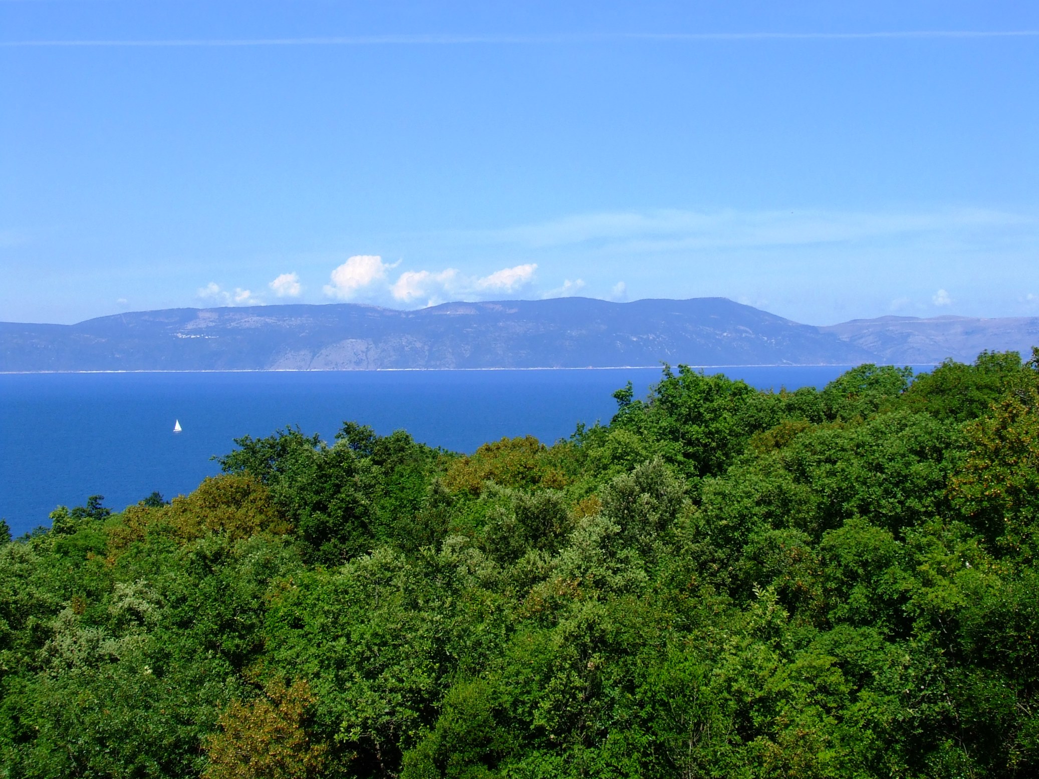 DSCF3510 - Kopia.JPG