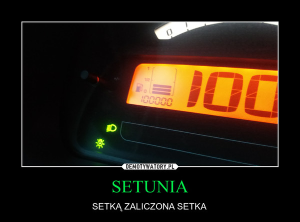 100.jpg