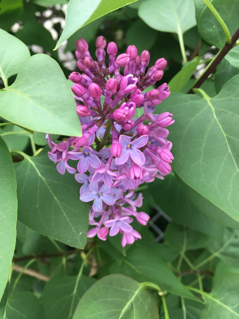 060 (Kopiowanie).JPG