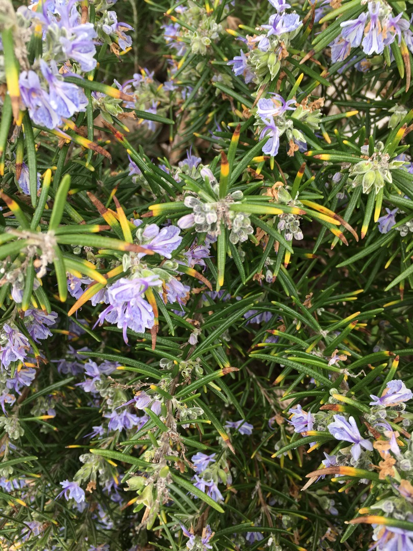 062 (Kopiowanie).JPG