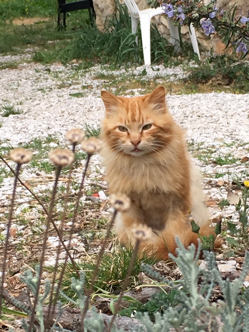 065 (Kopiowanie).JPG