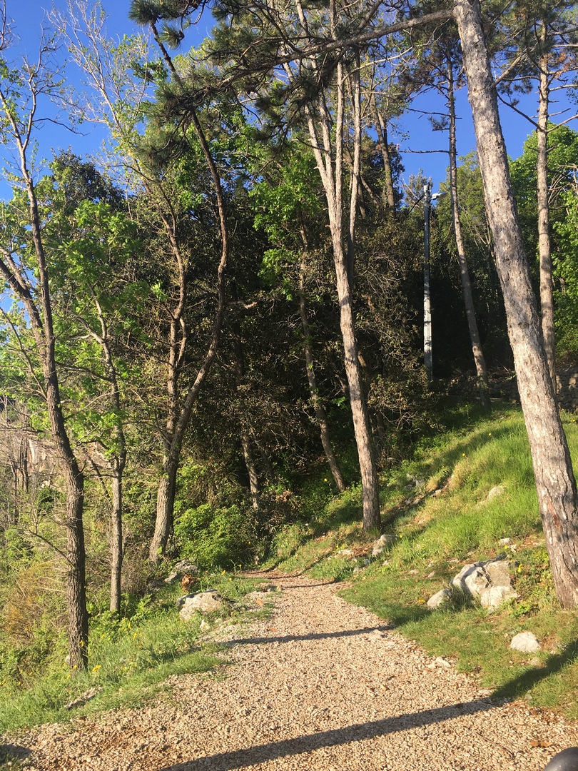 IMG_6262 (Kopiowanie).JPG