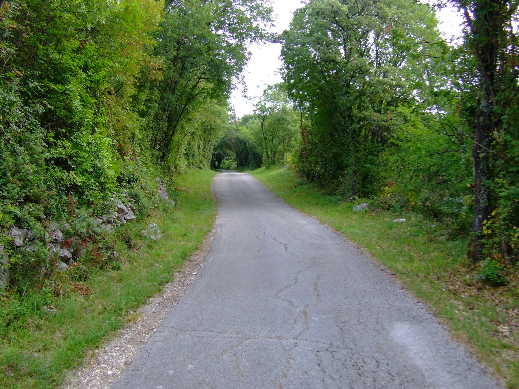 DSCF3405 - Kopia.JPG