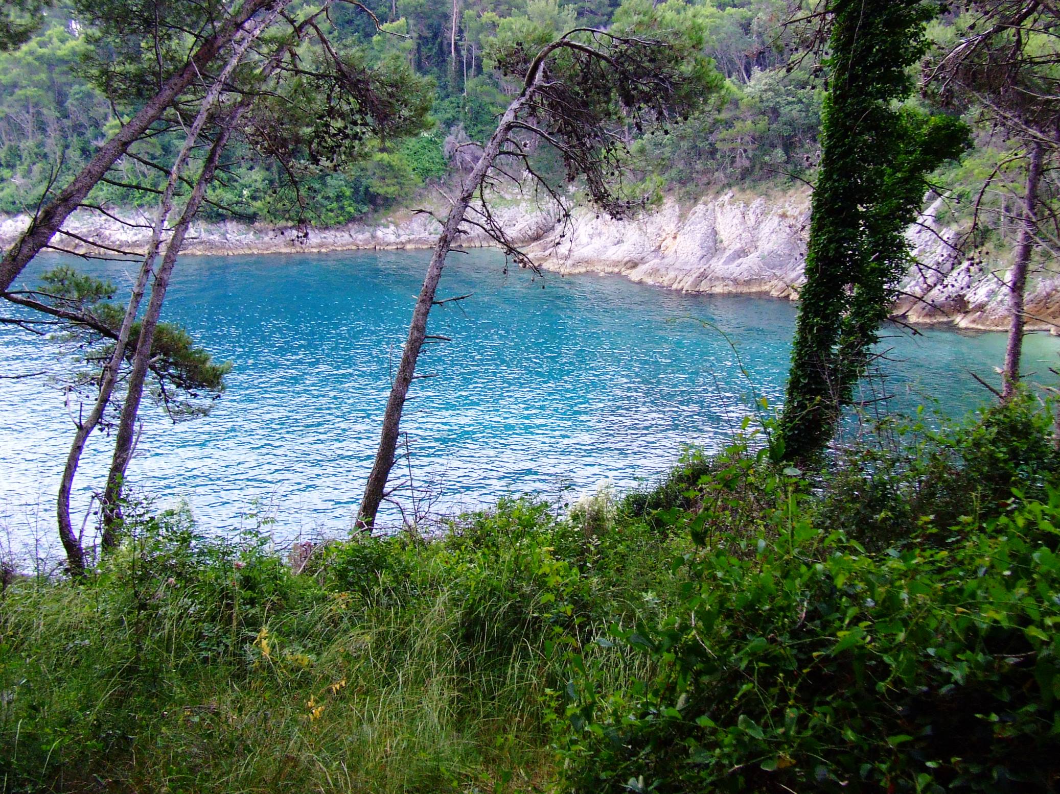 DSCF3410 - Kopia.JPG