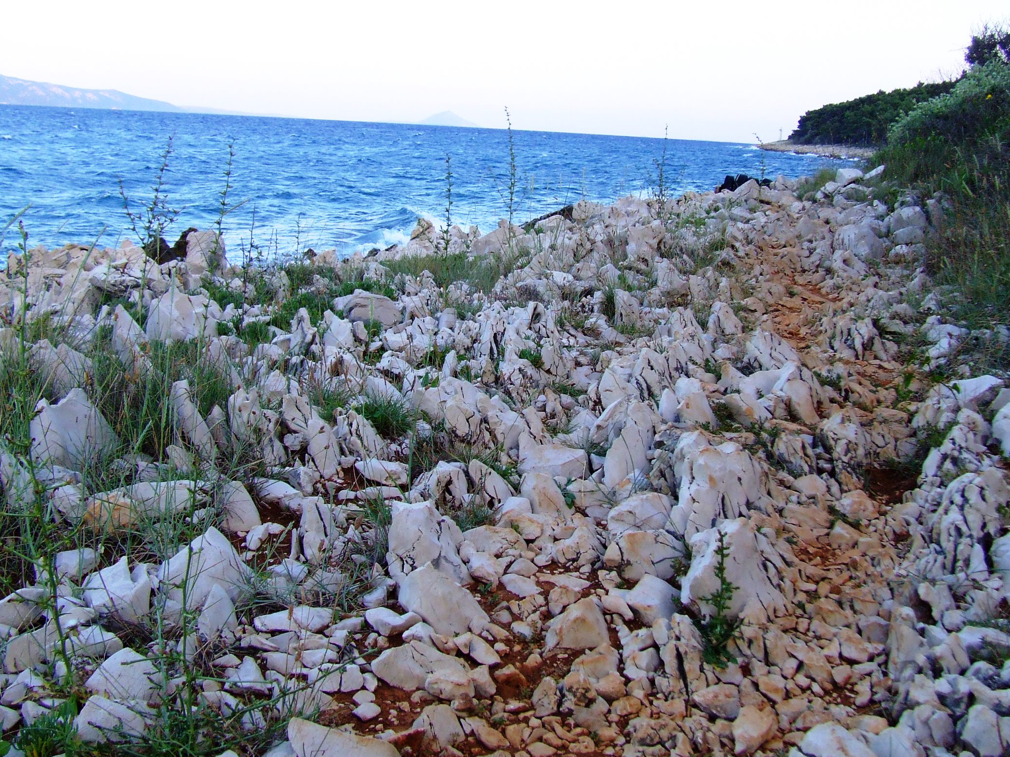 DSCF3439 - Kopia.JPG