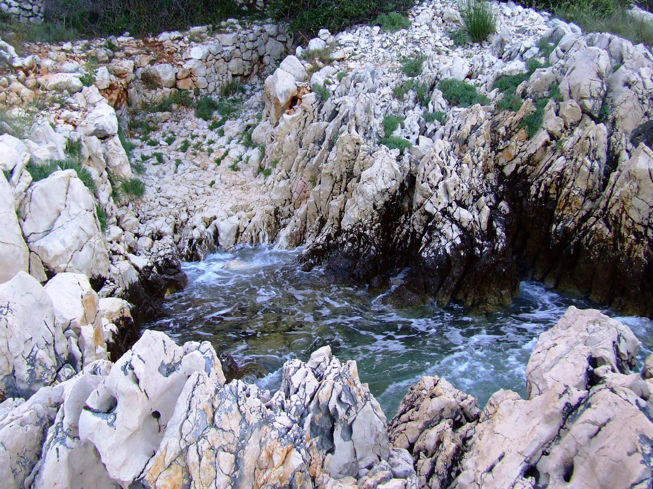 DSCF3440 - Kopia.JPG