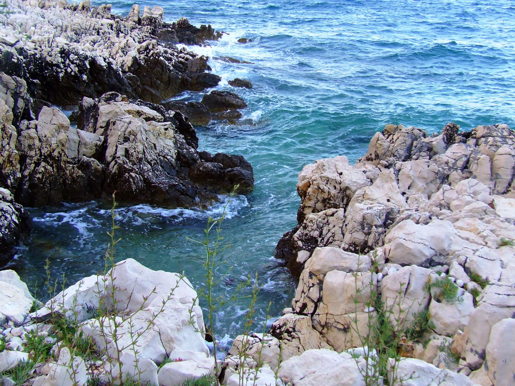 DSCF3442 - Kopia.JPG