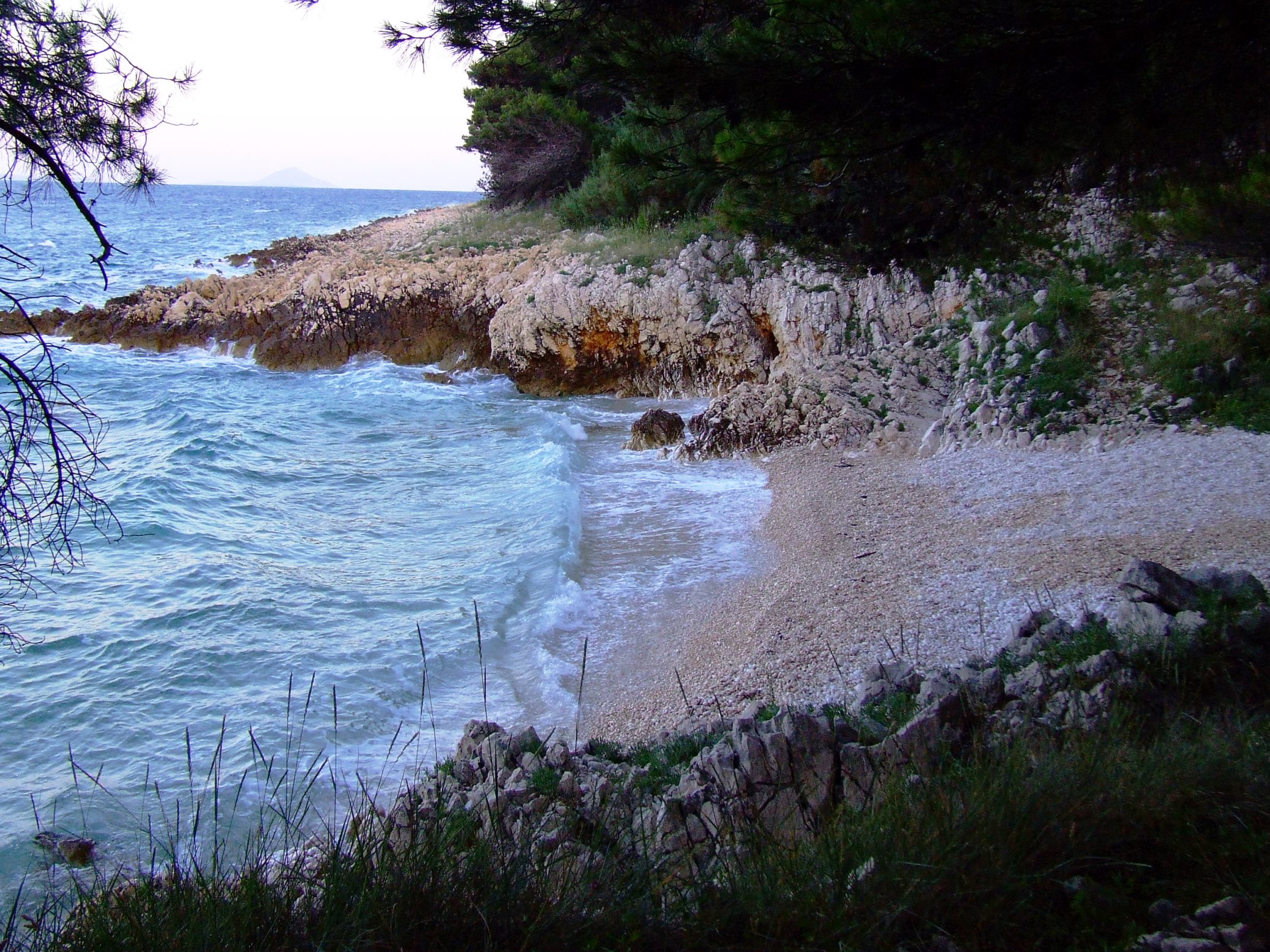 DSCF3443 - Kopia.JPG