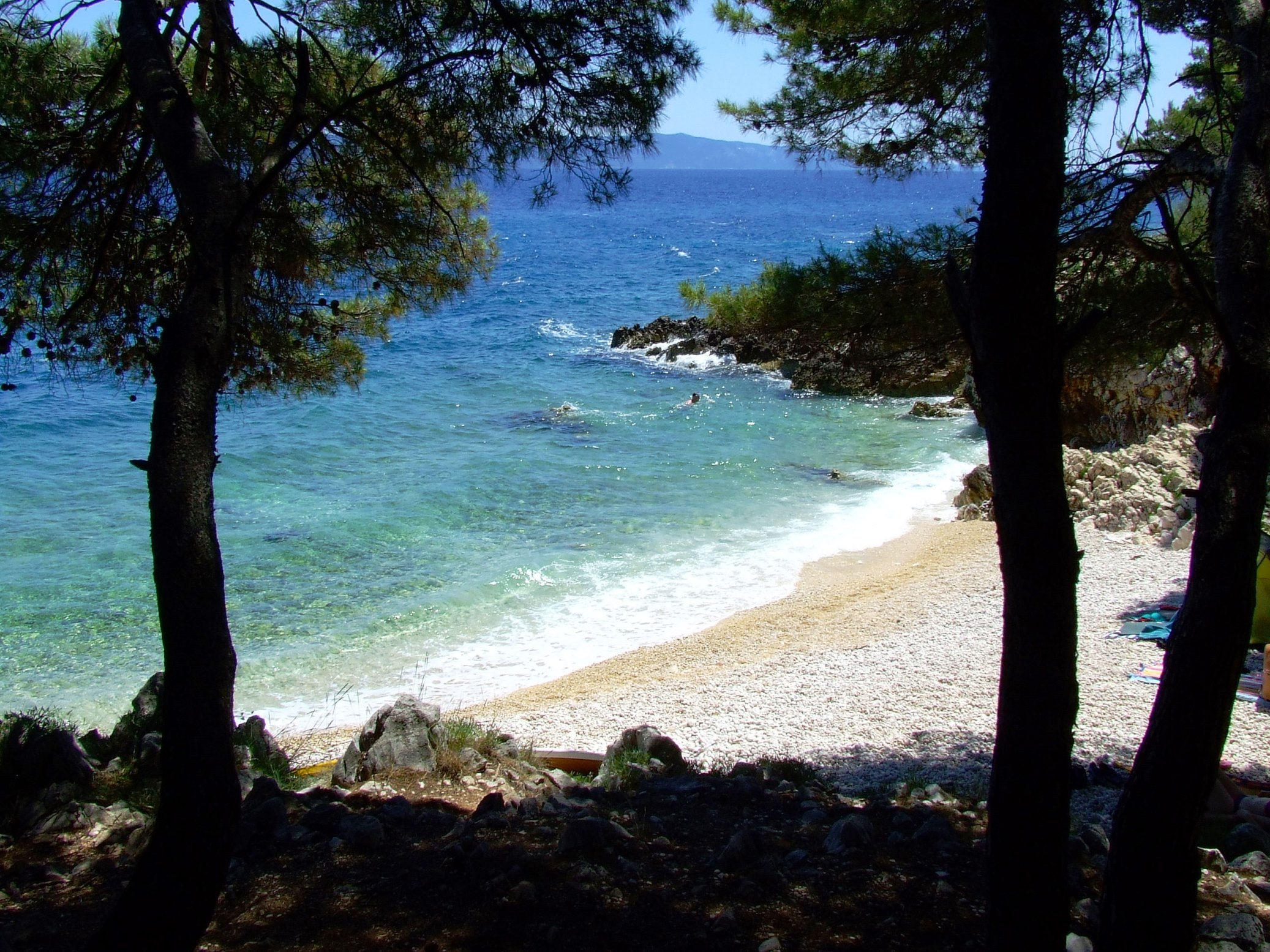 DSCF3455 - Kopia.JPG