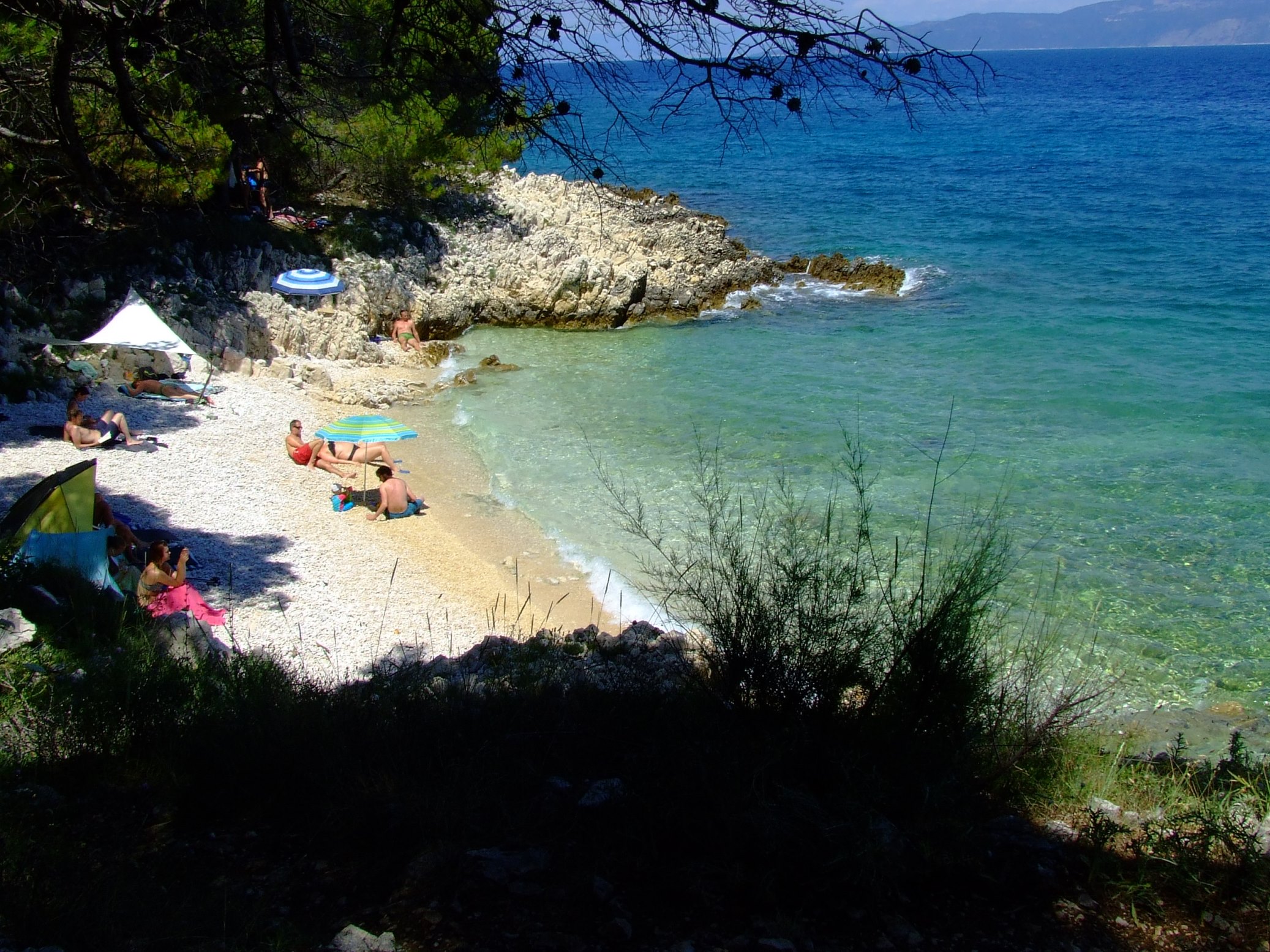 DSCF3541 - Kopia.JPG