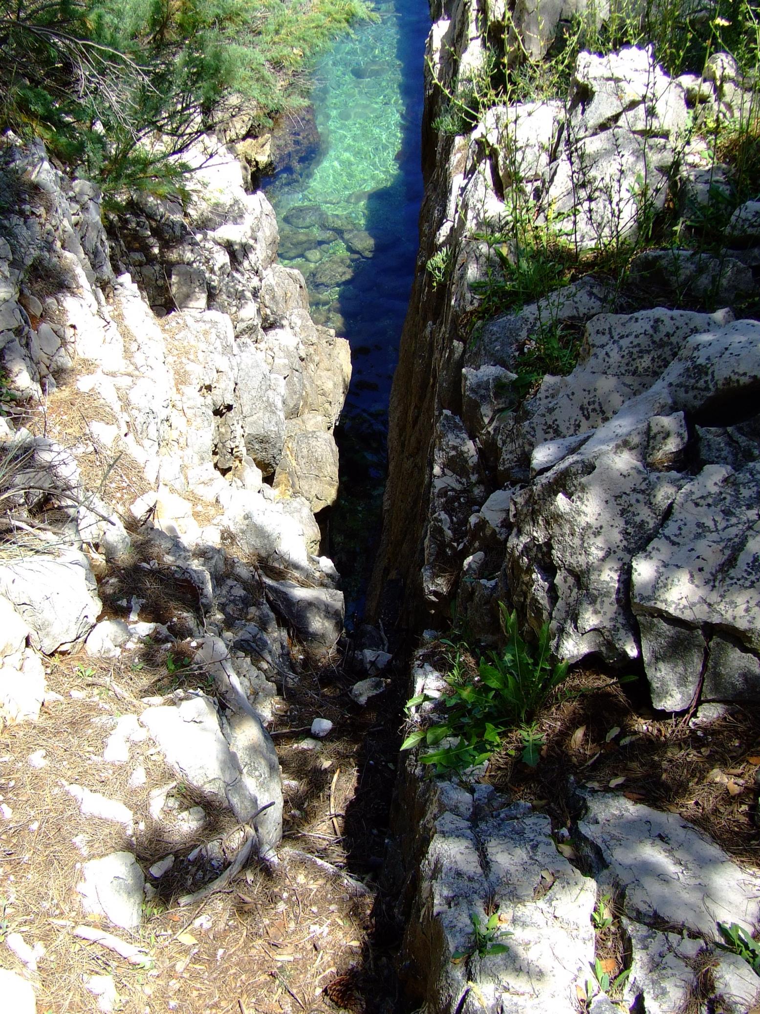 DSCF3488 - Kopia.JPG