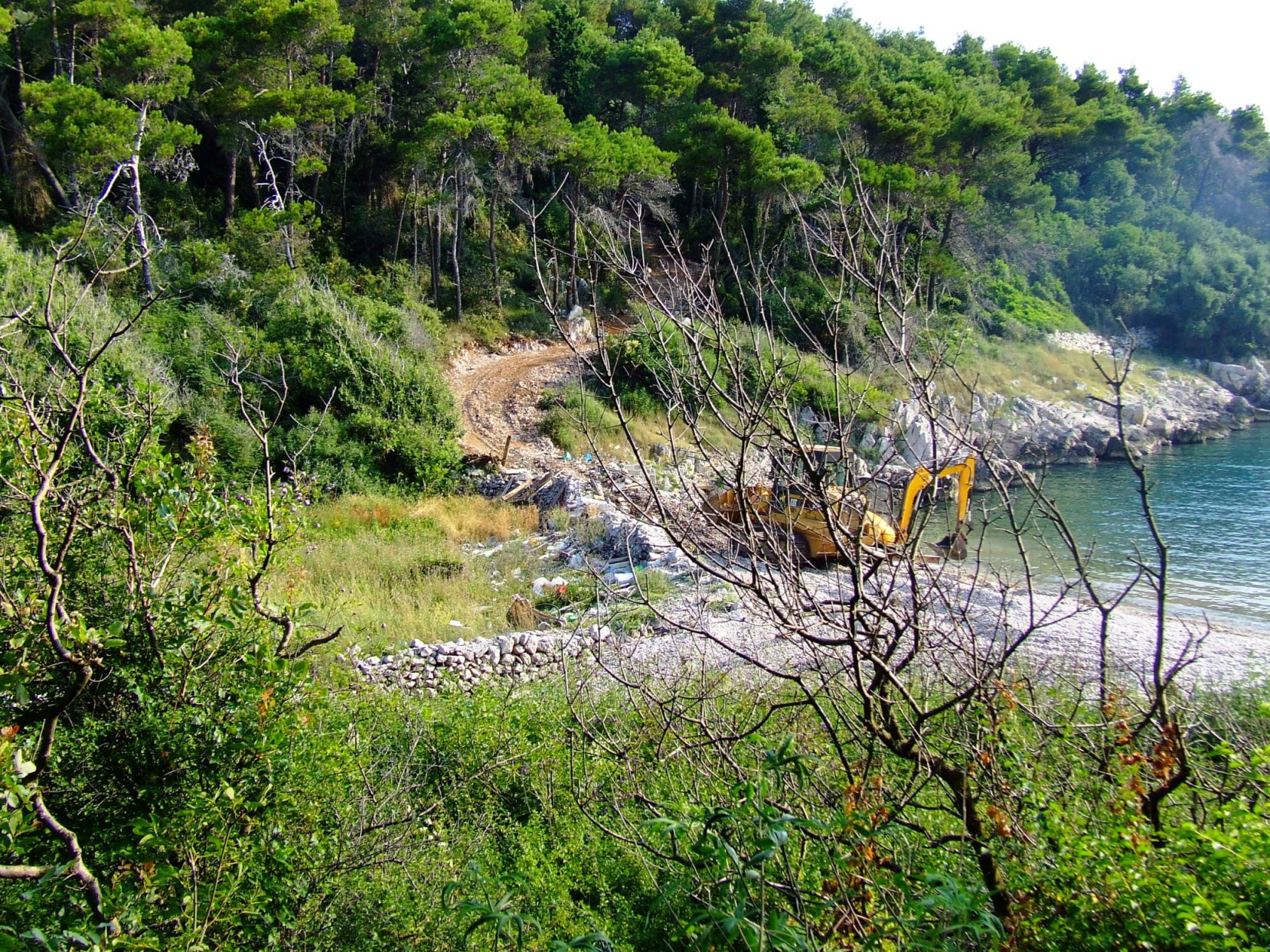 DSCF3646 - Kopia.JPG