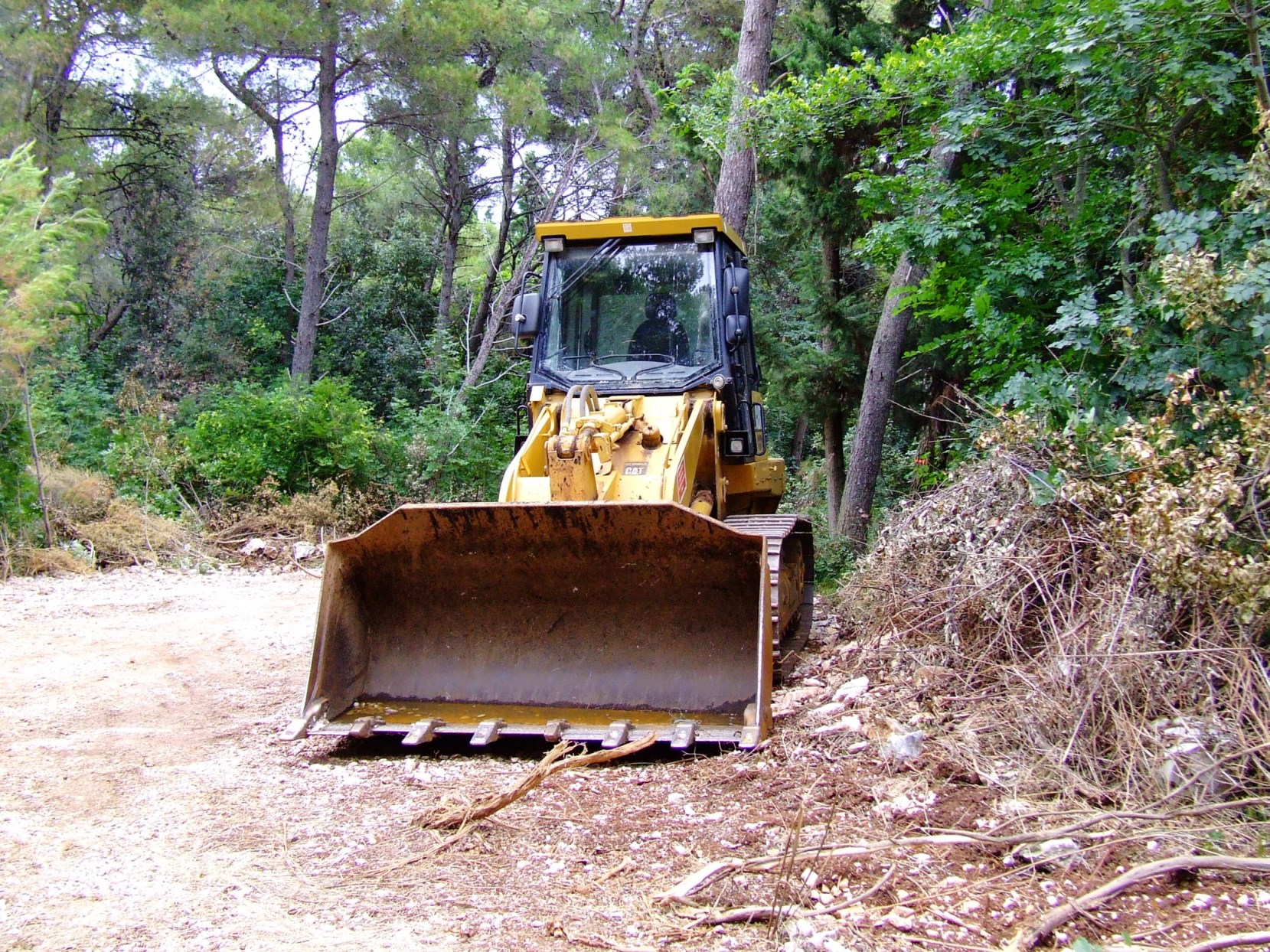 DSCF4025 - Kopia.JPG