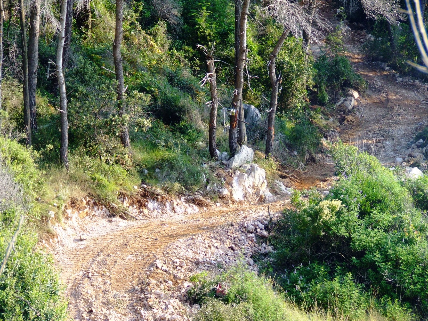 DSCF3647 - Kopia.JPG