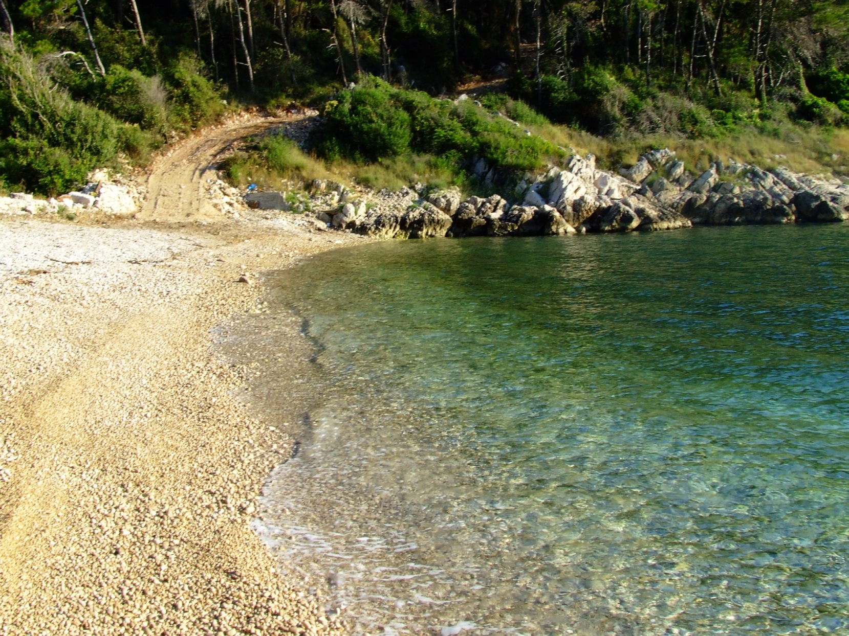 DSCF3686 - Kopia.JPG