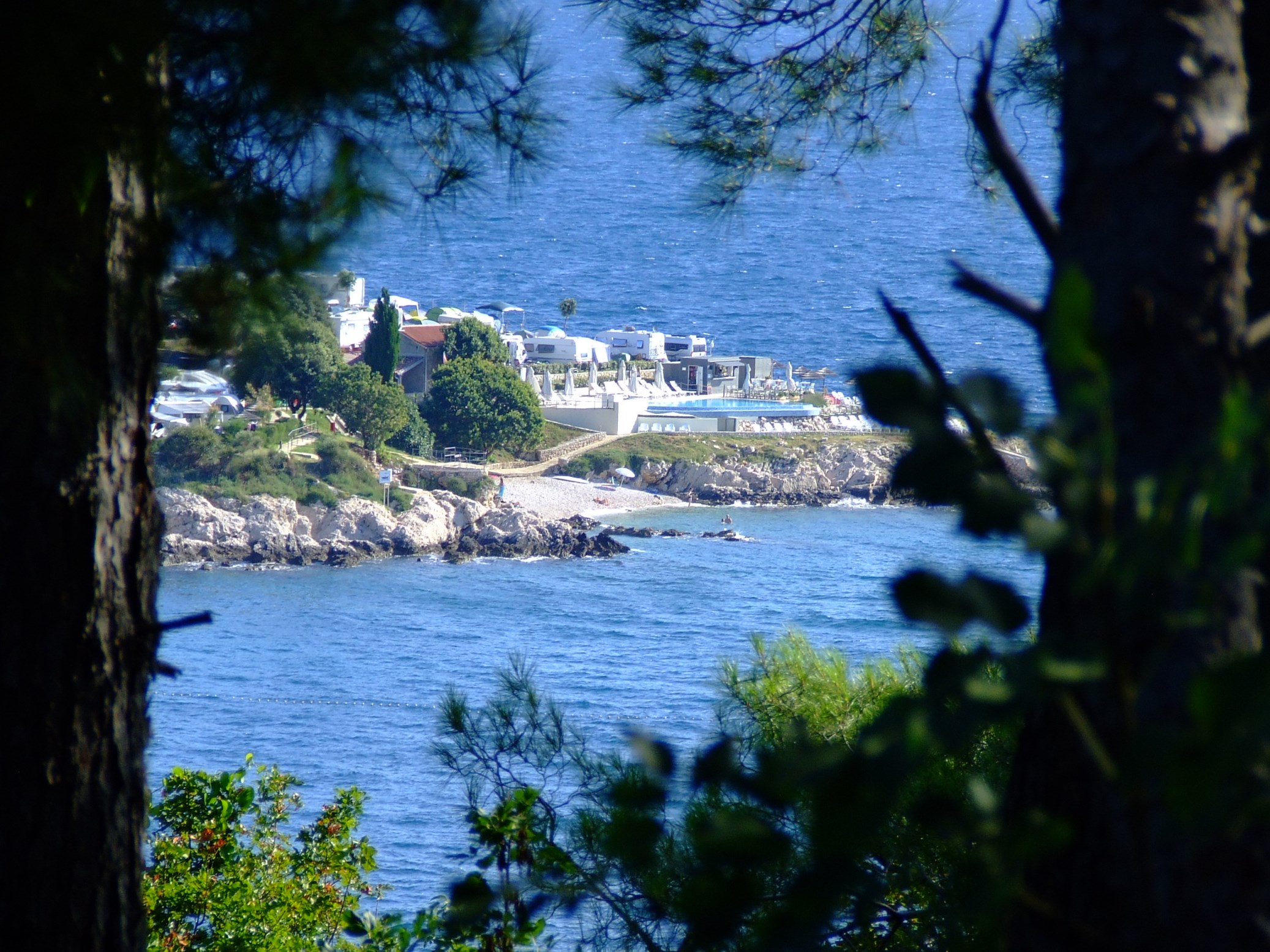 DSCF3565 - Kopia.JPG