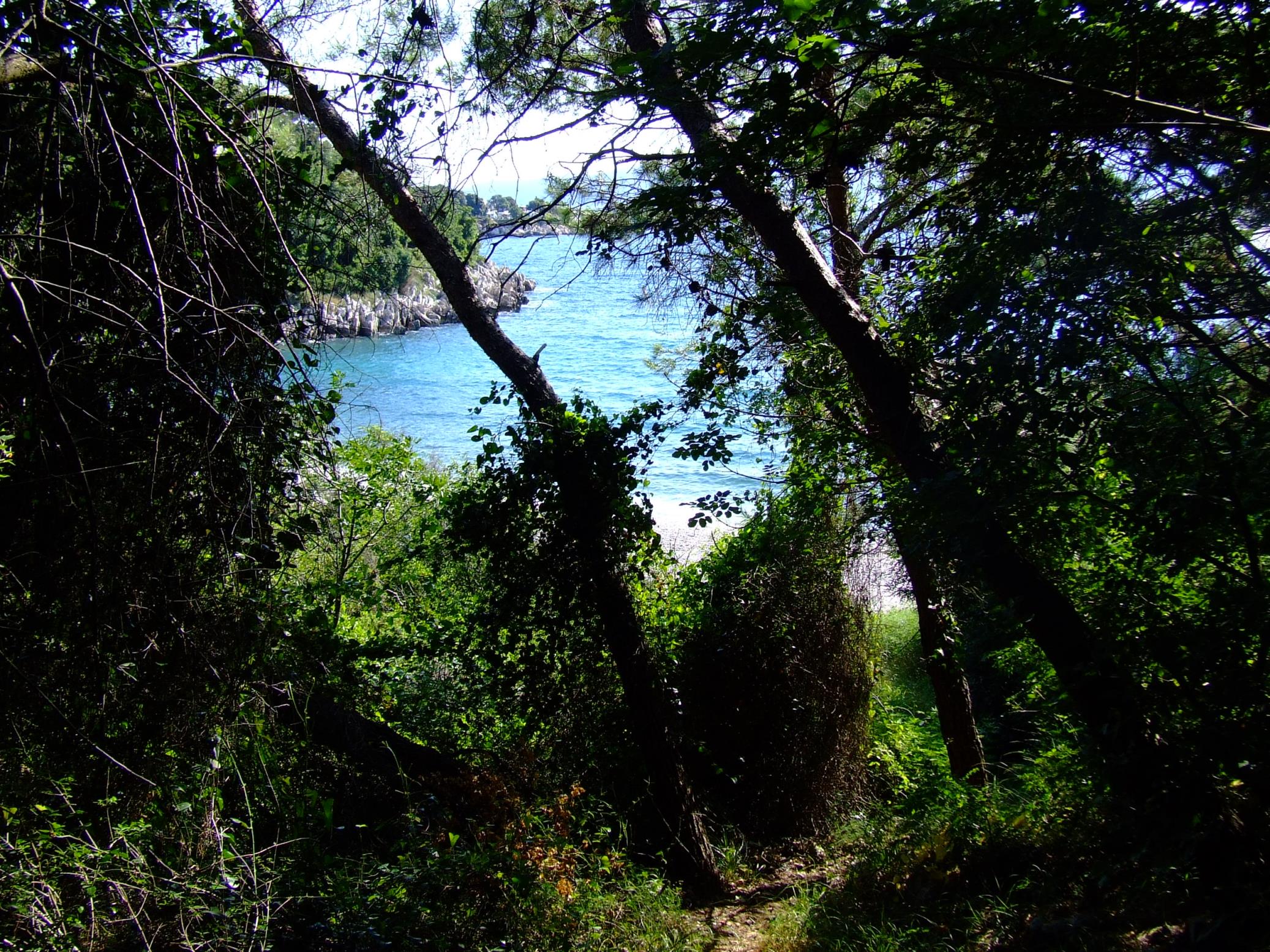 DSCF3569 - Kopia.JPG