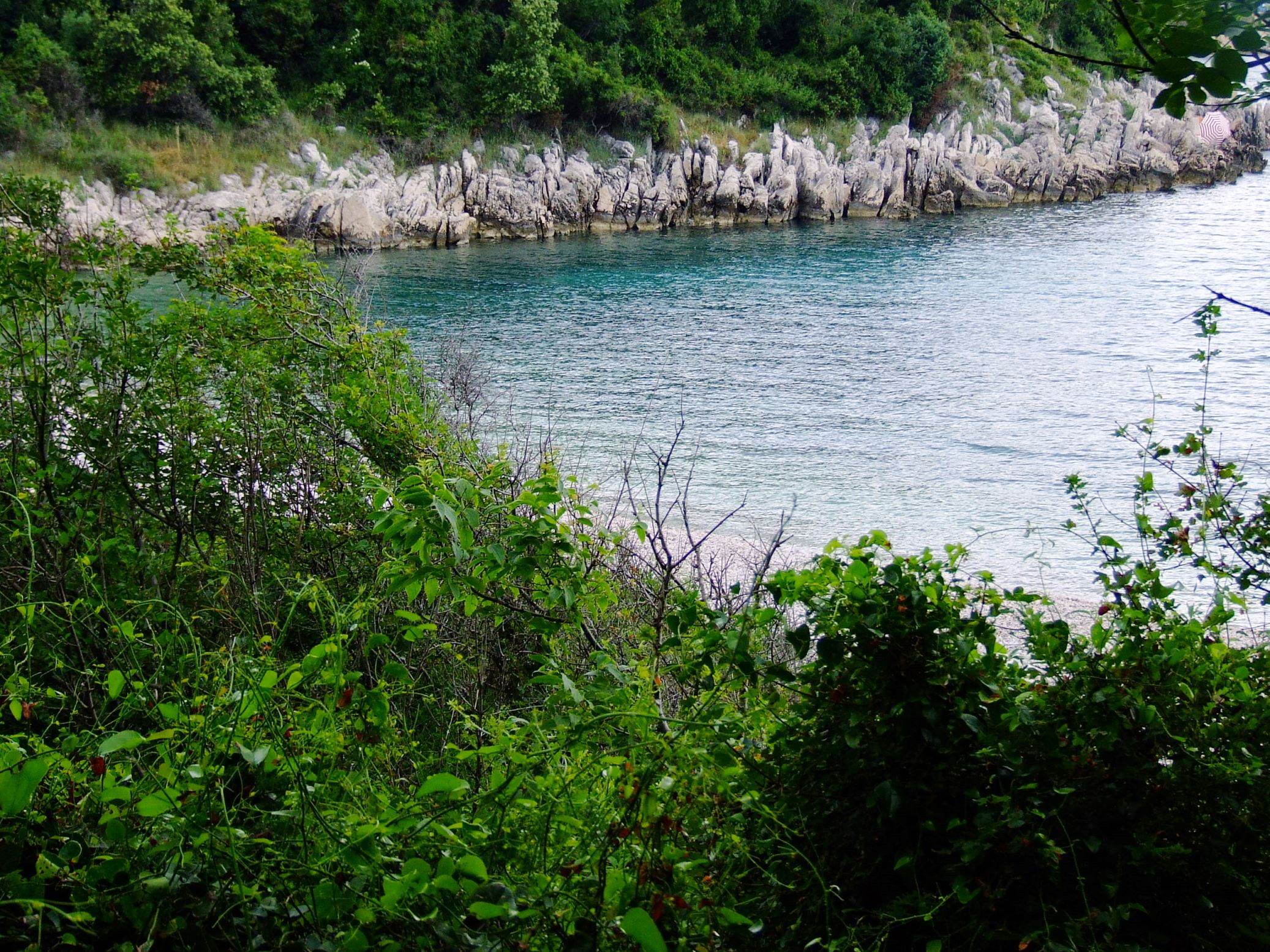 DSCF3418 - Kopia.JPG