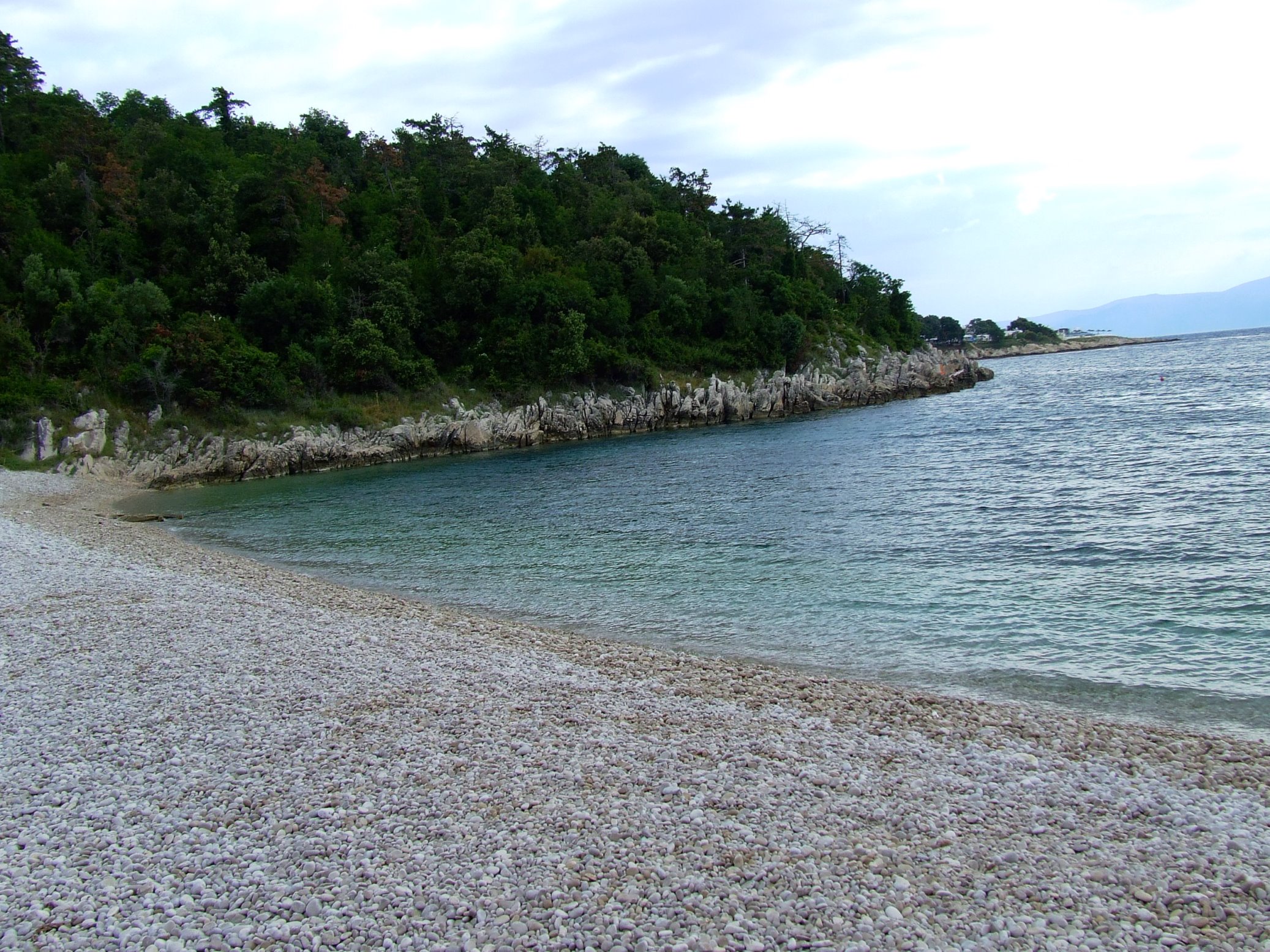 DSCF3419 - Kopia.JPG