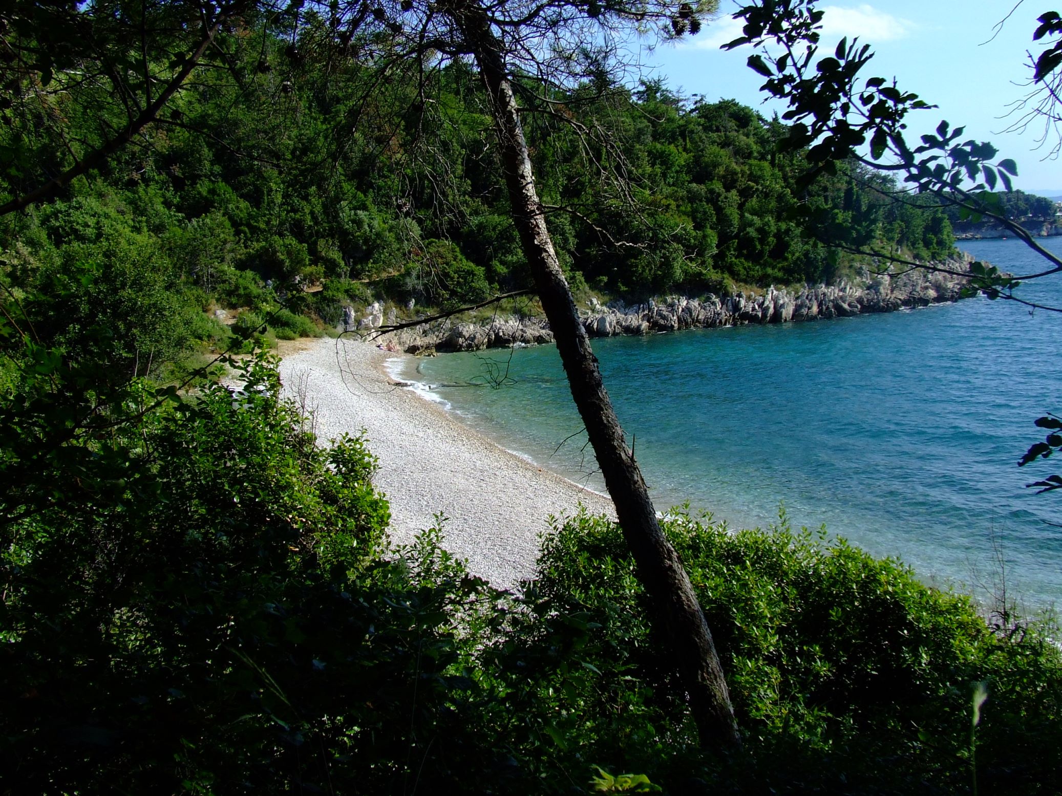 DSCF3576 - Kopia.JPG