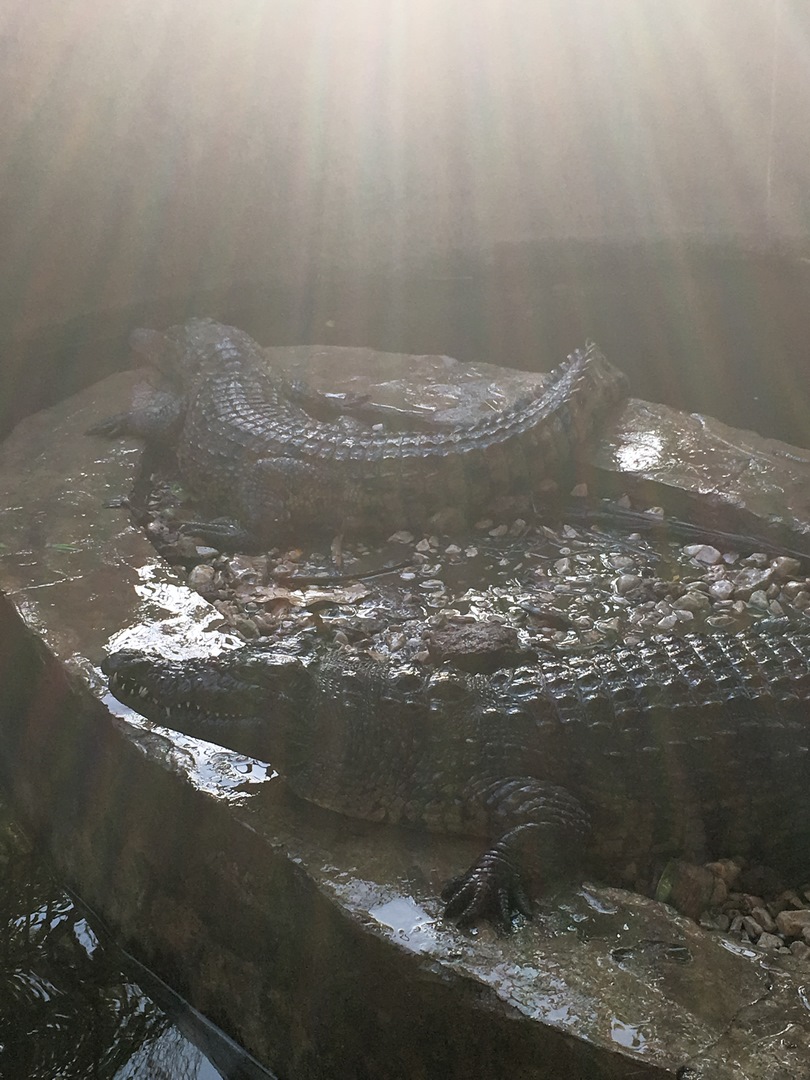 1140 (Kopiowanie).JPG