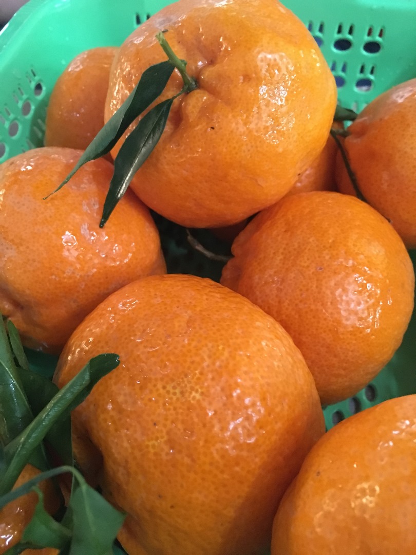 1141 (Kopiowanie).JPG