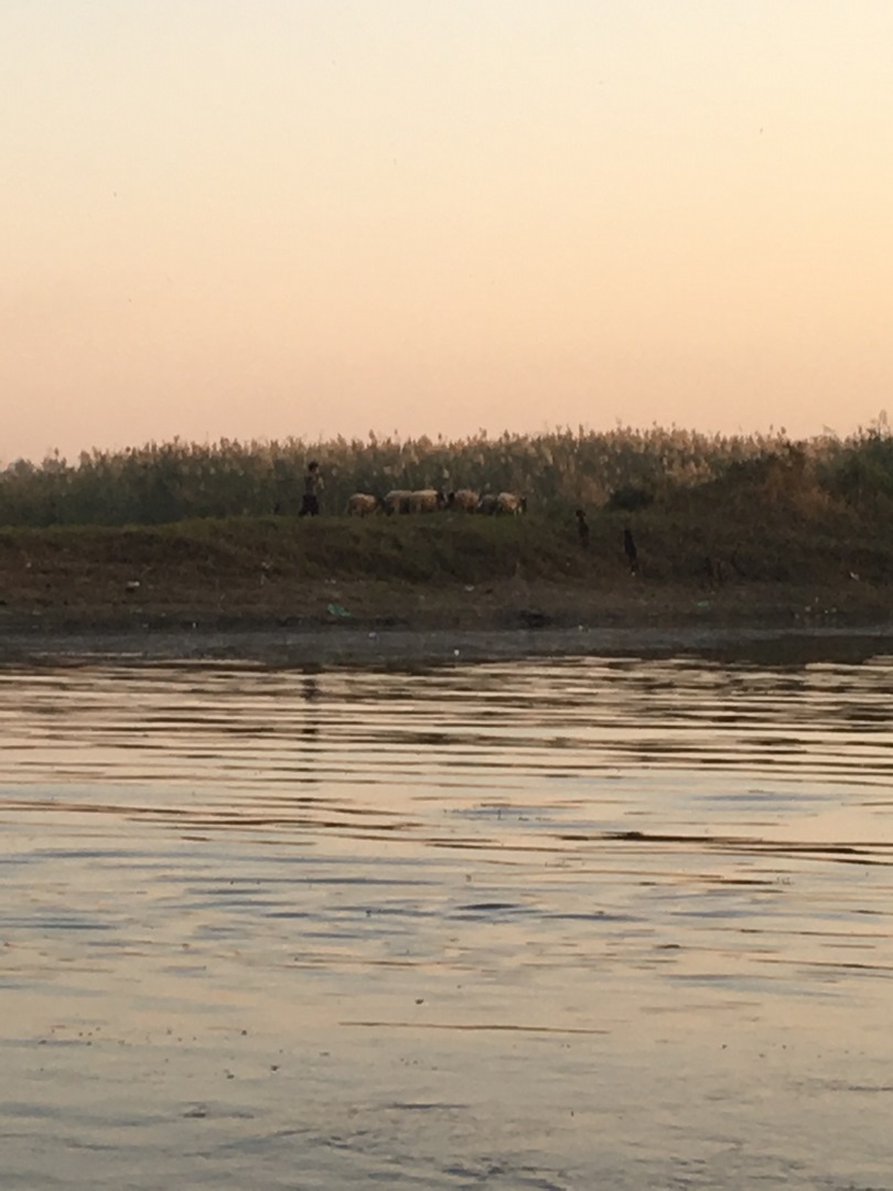 1142 (Kopiowanie).JPG