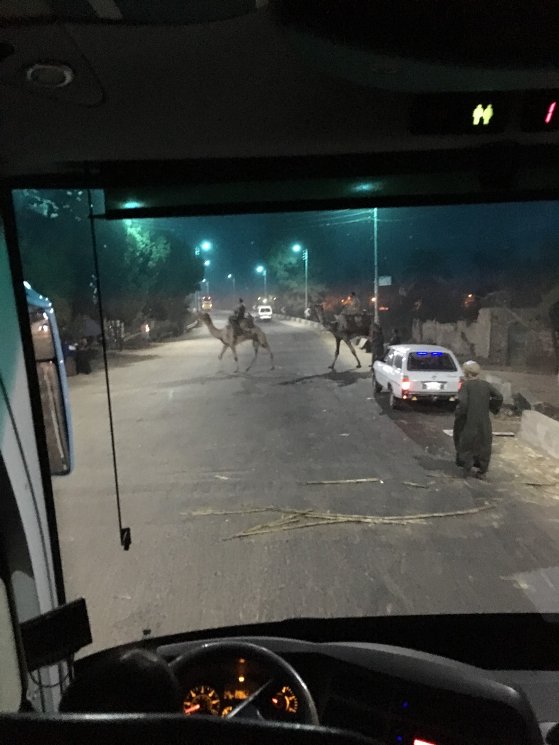 1159 (Kopiowanie).JPG