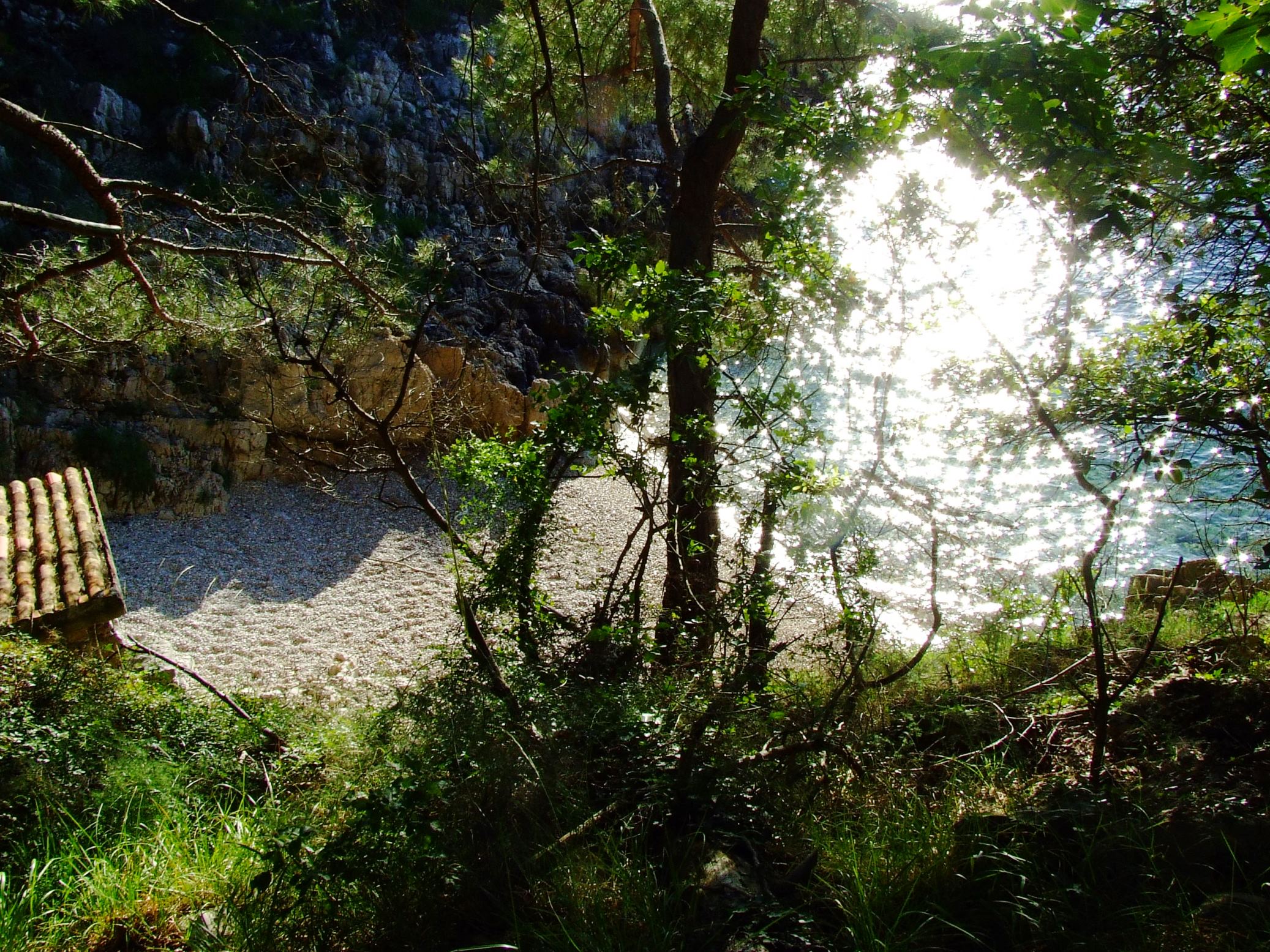 DSCF3479 - Kopia.JPG DSCF3479 - Kopia.JPG