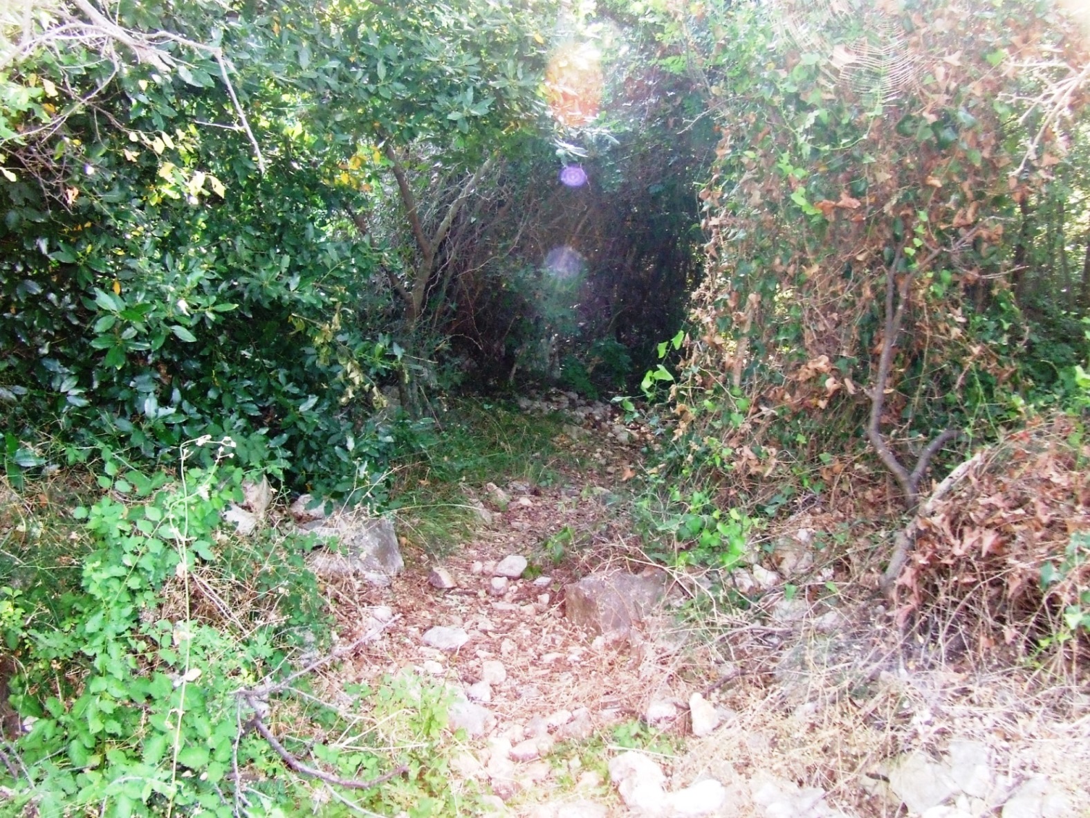 DSCF3768 - Kopia.JPG