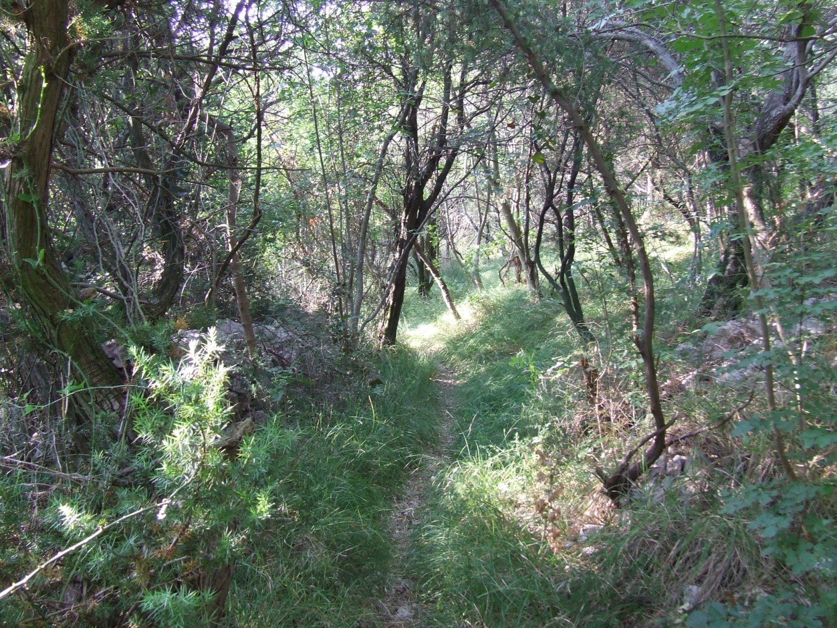 DSCF3770 - Kopia.JPG