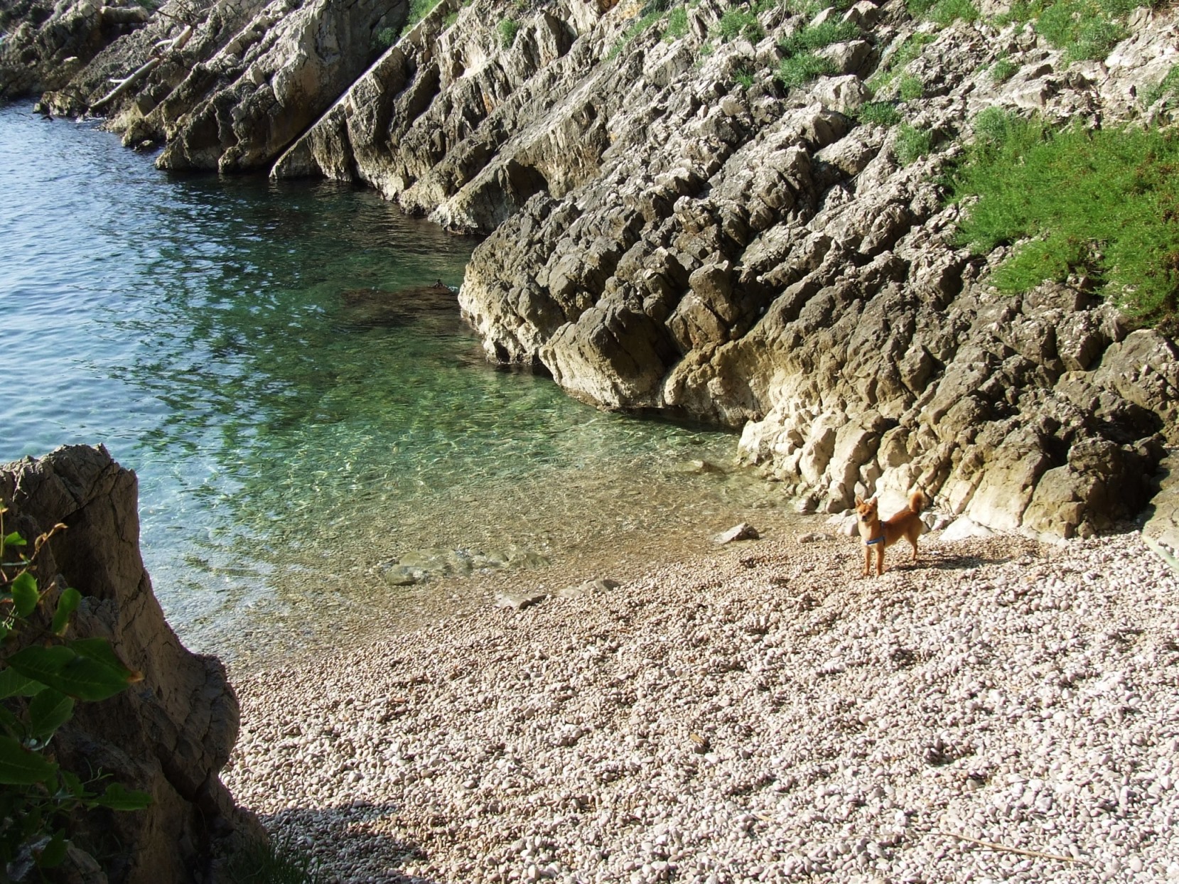 DSCF3775 - Kopia.JPG