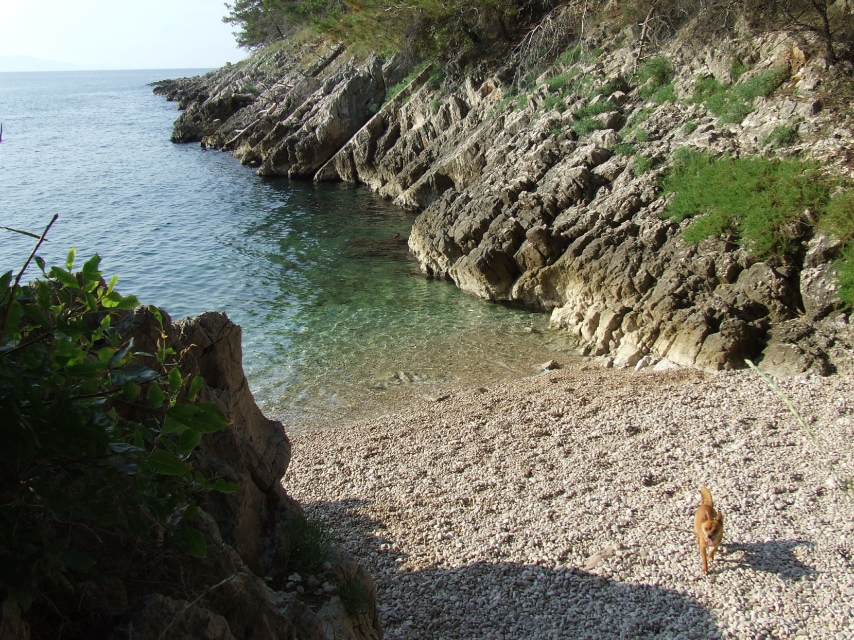 DSCF3776 - Kopia.JPG