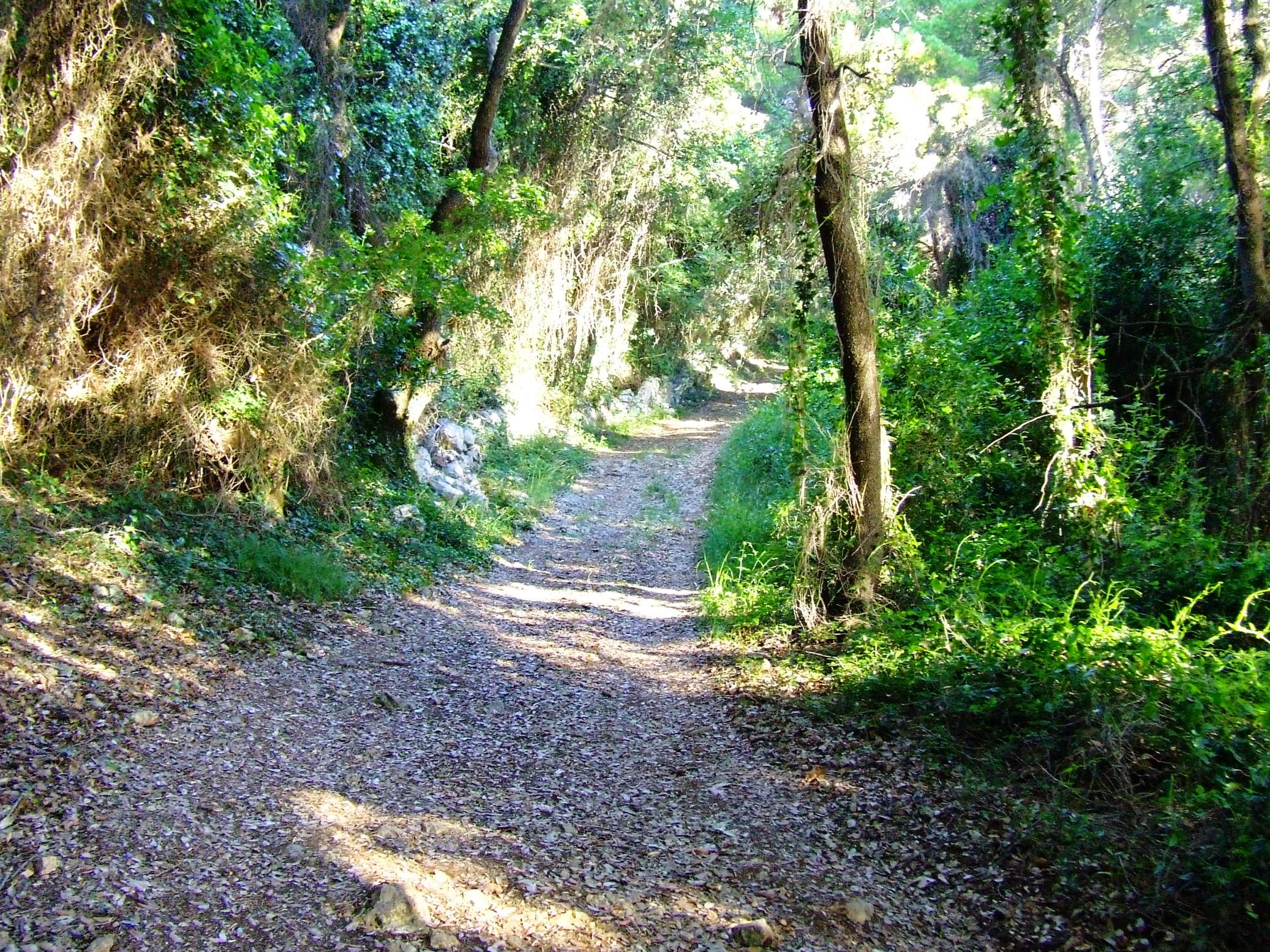 DSCF3476 - Kopia.JPG