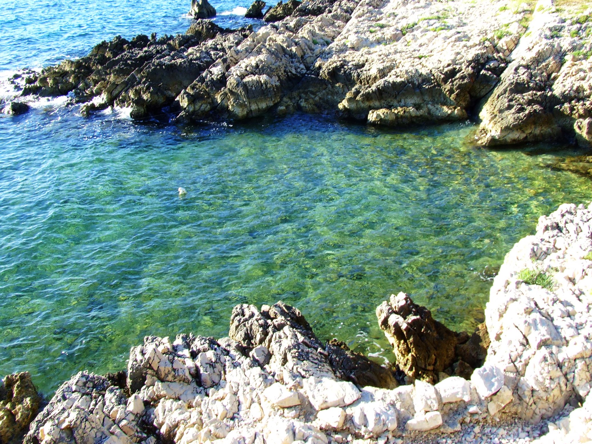 DSCF3472 - Kopia.JPG