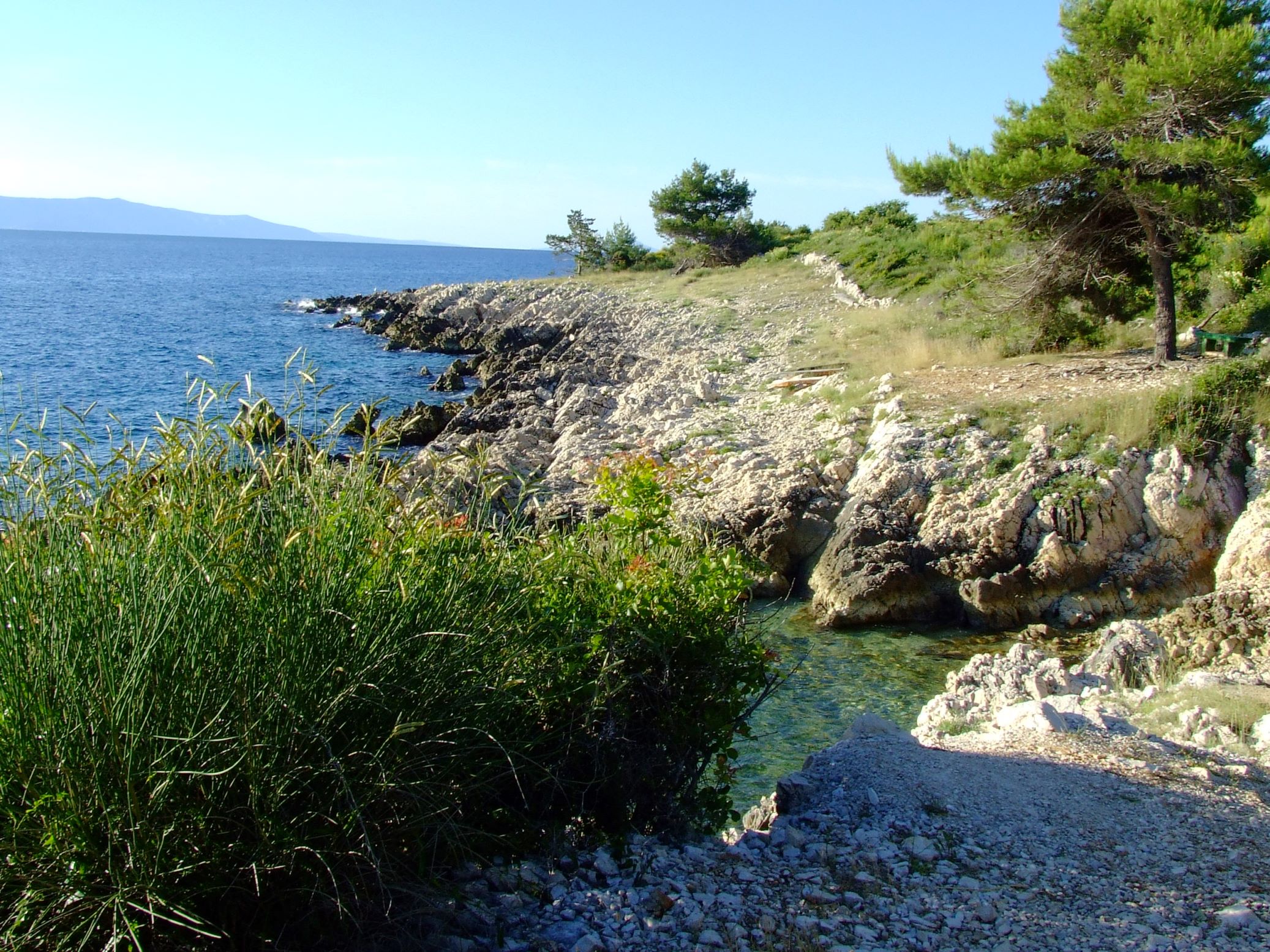 DSCF3473 - Kopia.JPG