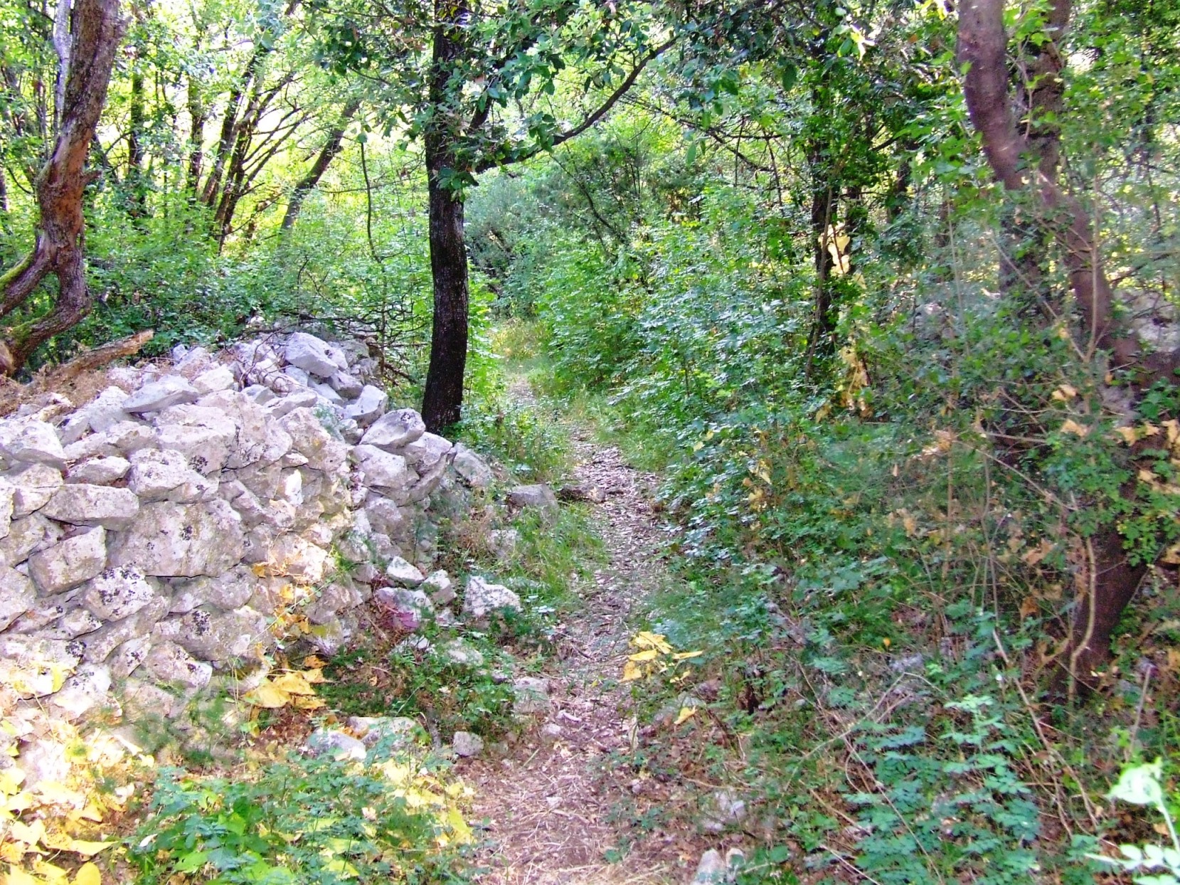 DSCF3645 - Kopia.JPG