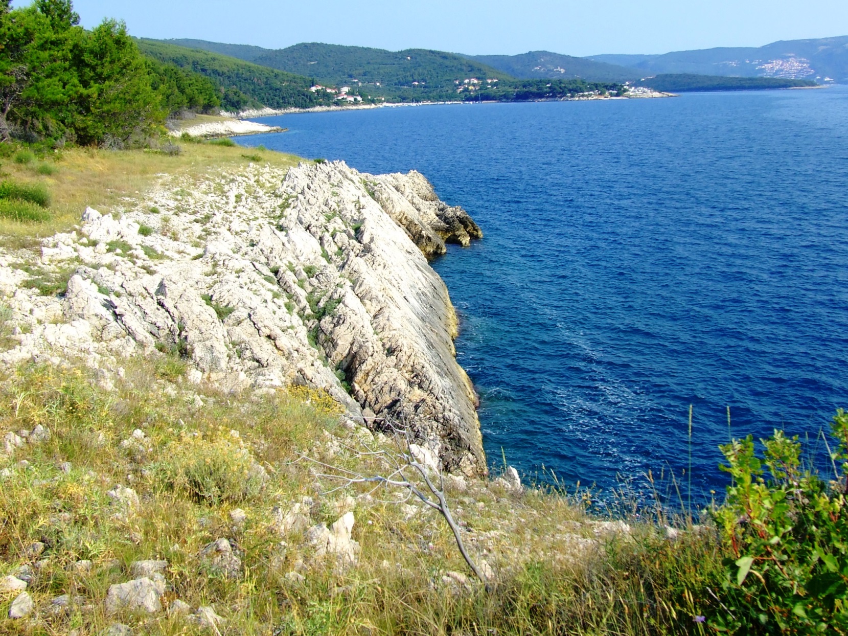 DSCF3658 - Kopia.JPG