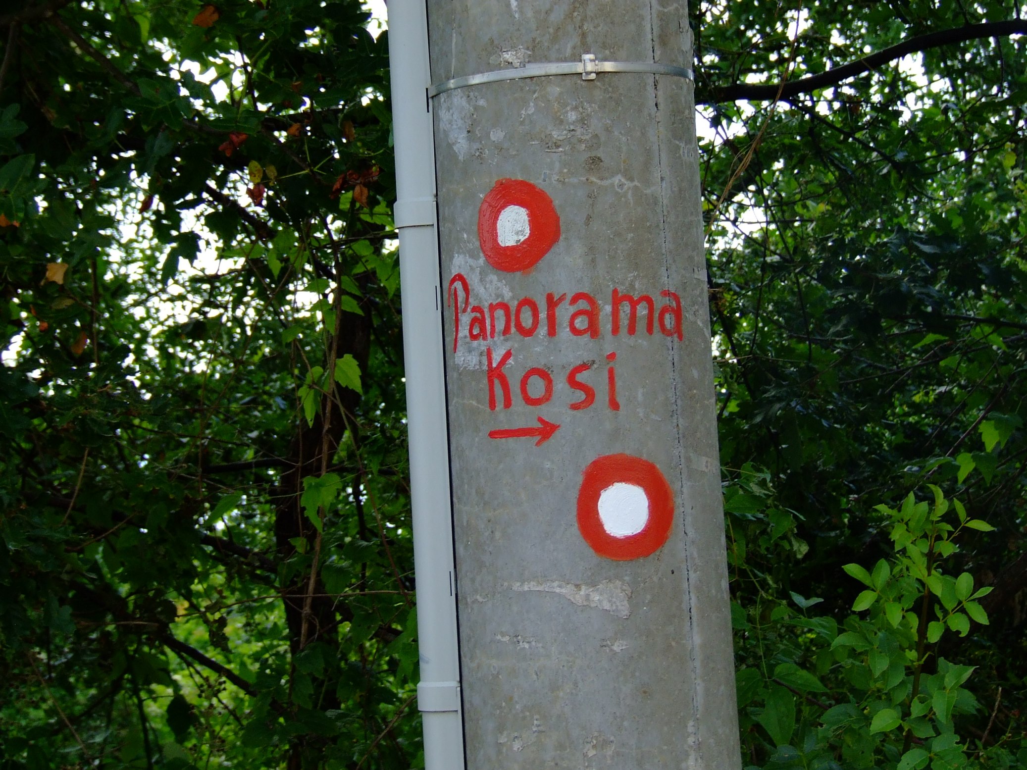 DSCF3604 - Kopia.JPG