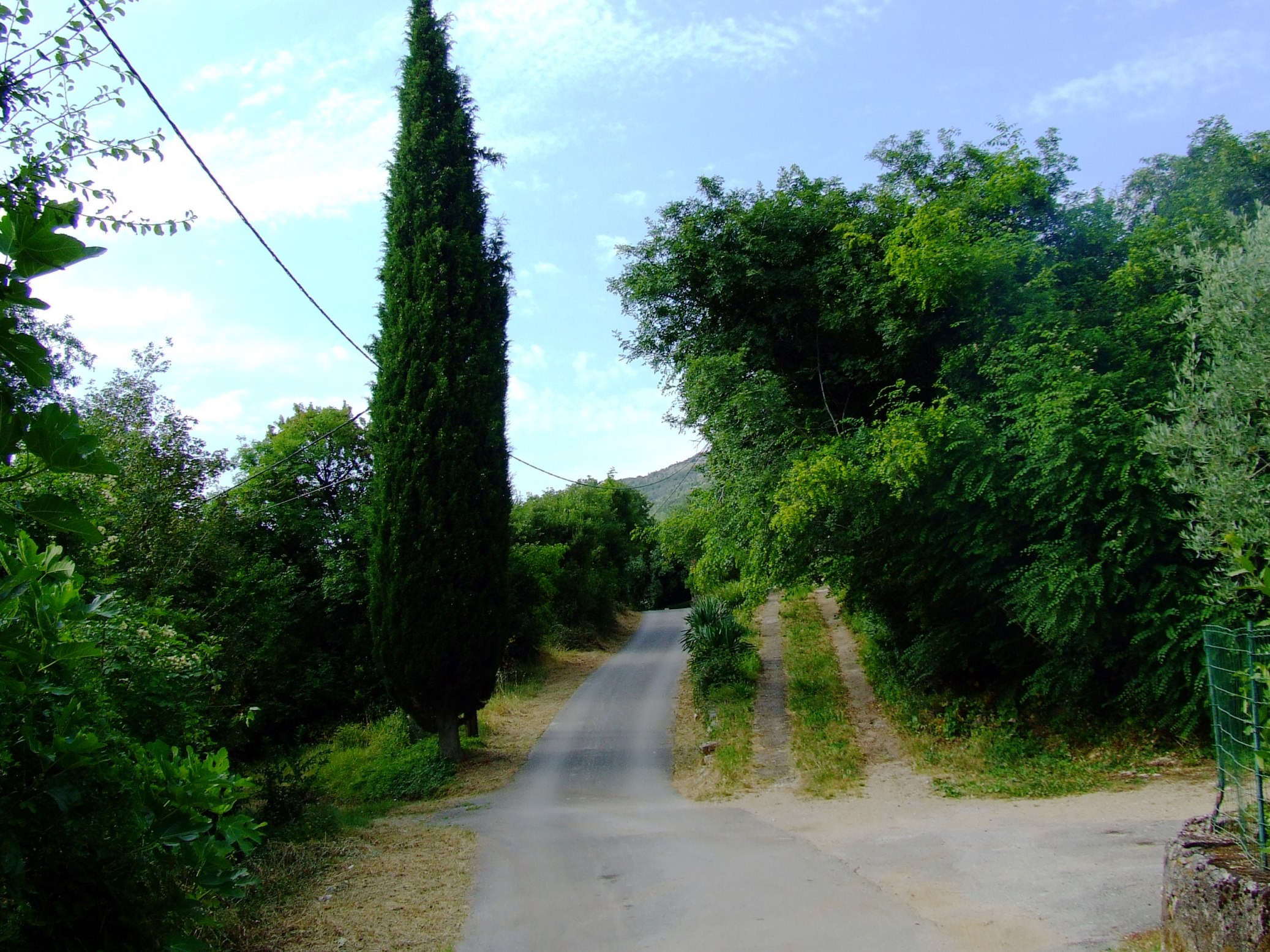 DSCF3605 - Kopia.JPG