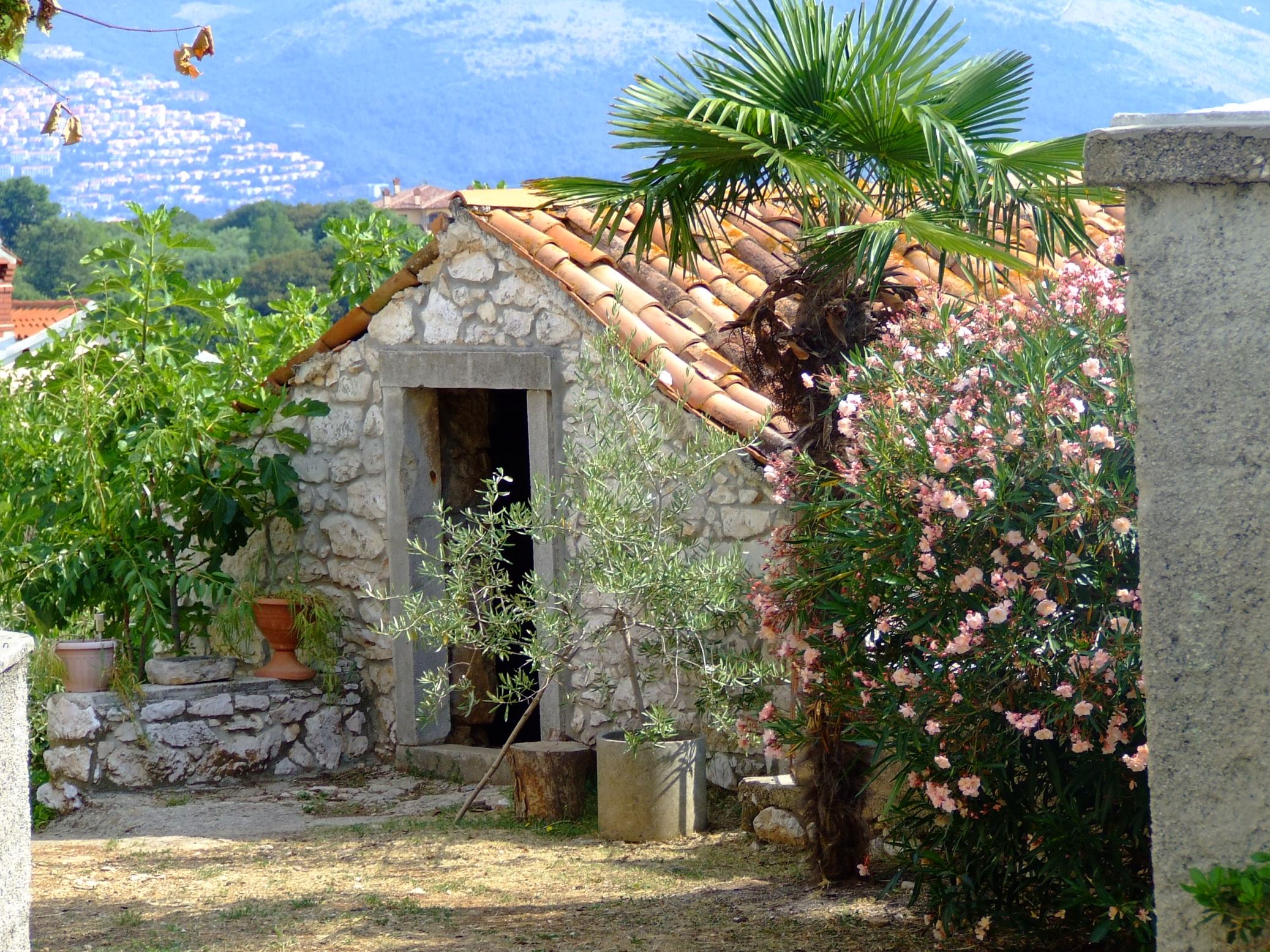 DSCF3618 - Kopia.JPG