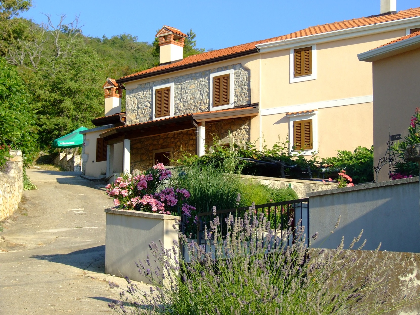 DSCF3710 - Kopia.JPG