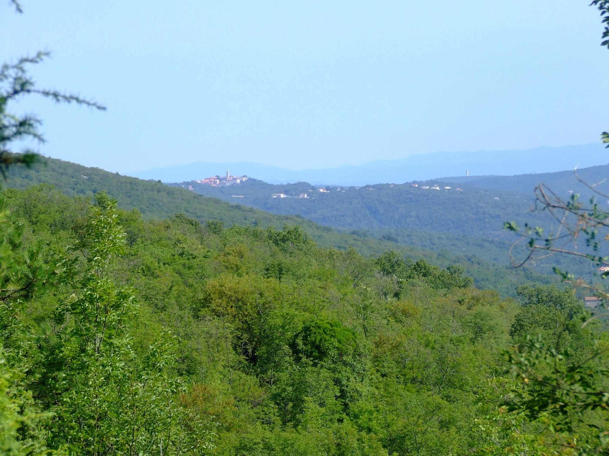 DSCF3613 - Kopia.JPG