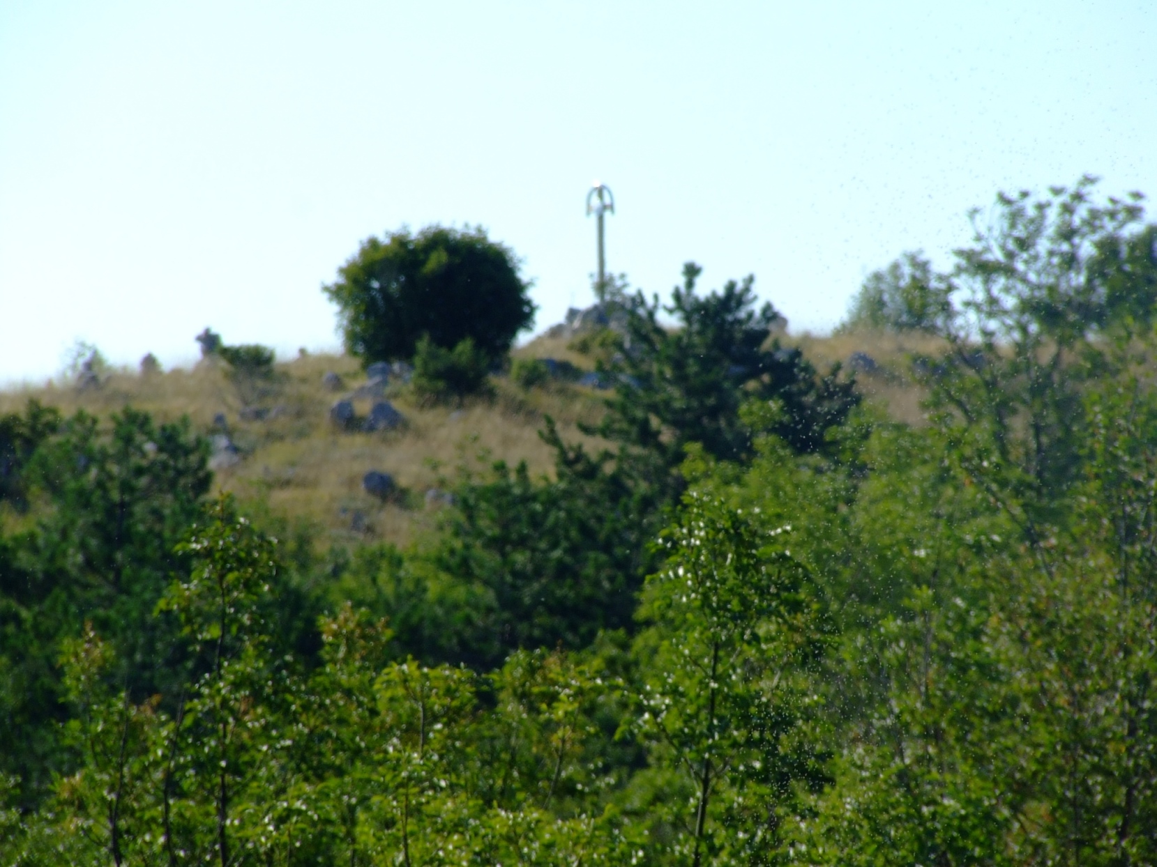 DSCF3711 - Kopia.JPG