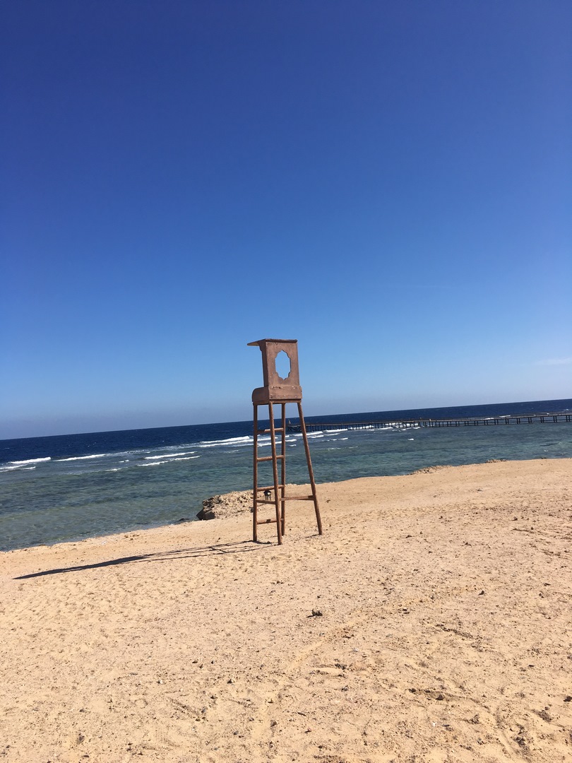 1164 (Kopiowanie).JPG