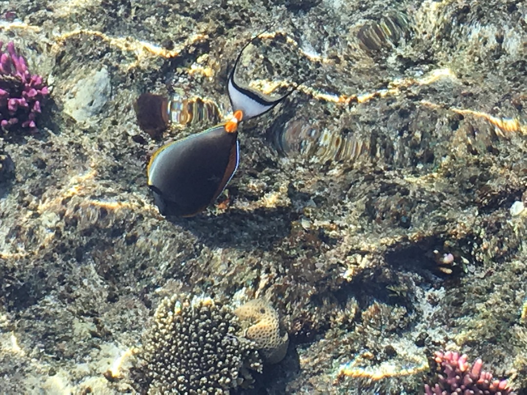 1281 (Kopiowanie).JPG