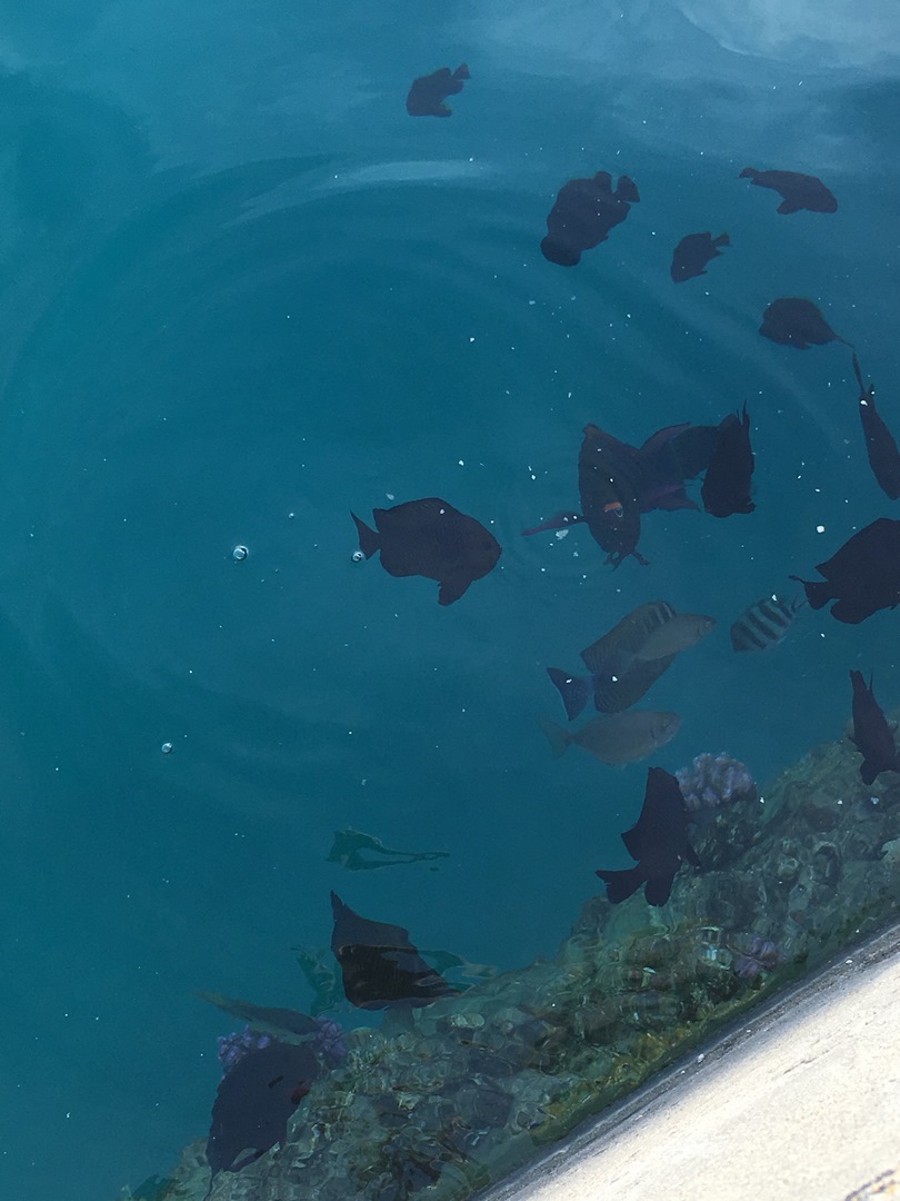 1353 (Kopiowanie).JPG