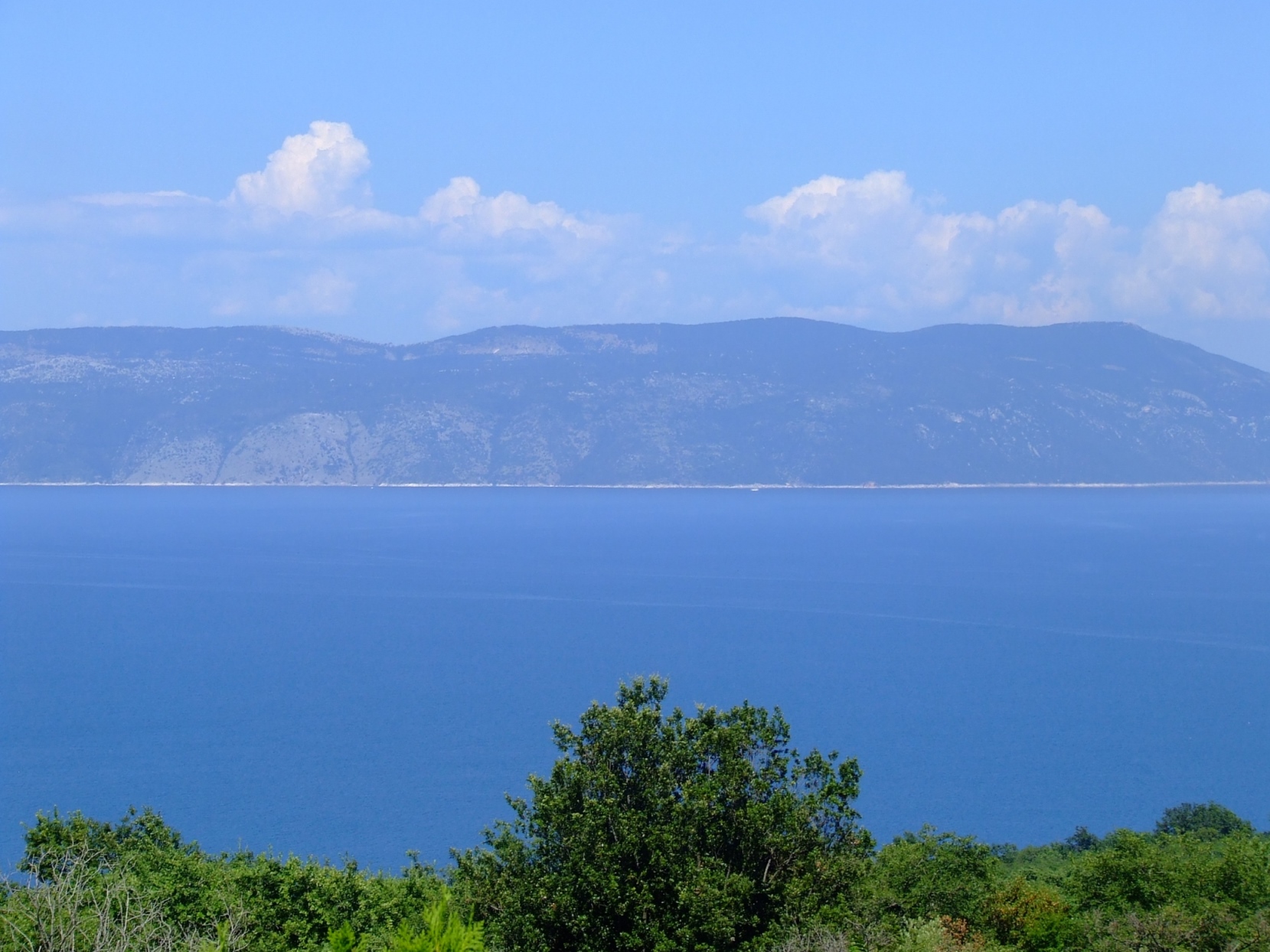 DSCF3702 - Kopia.JPG