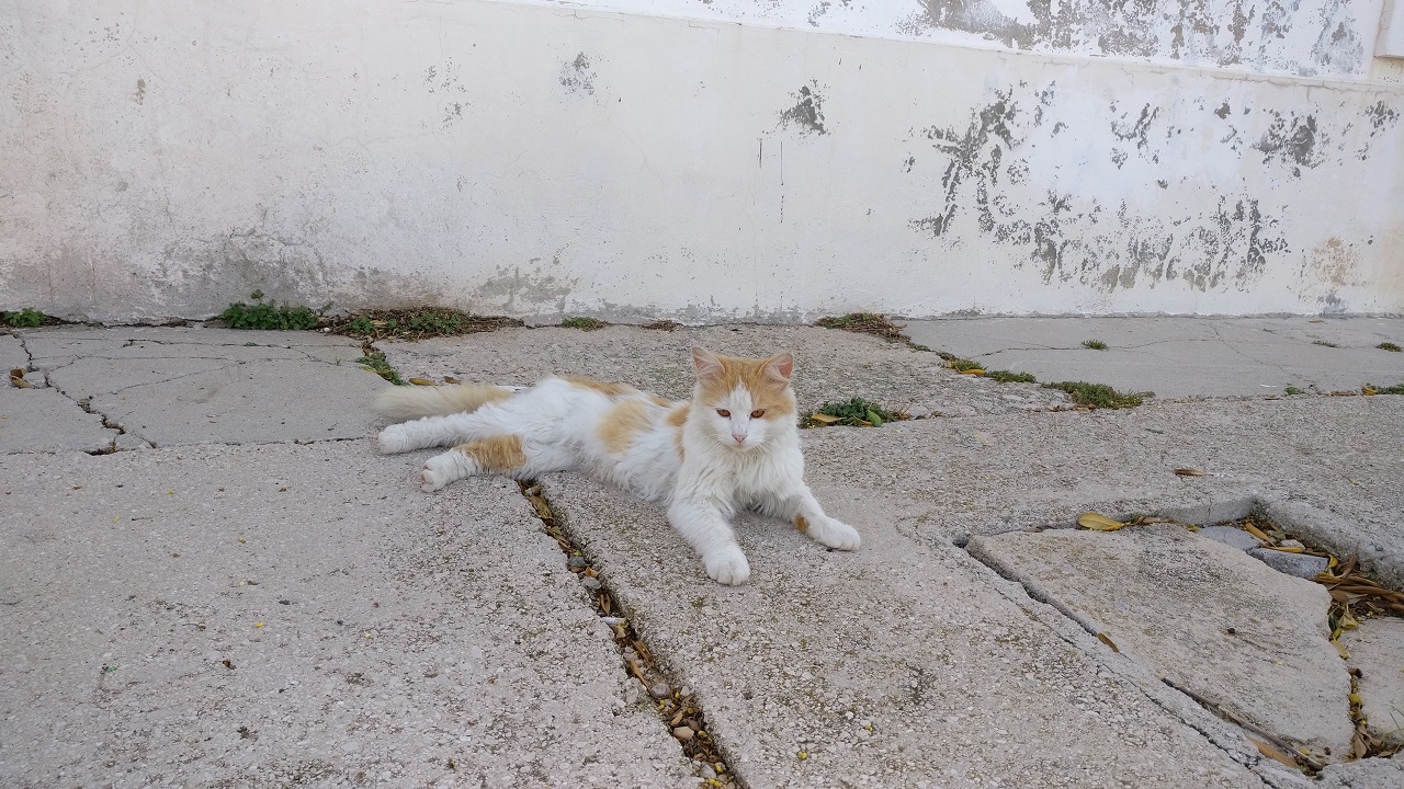 2017-05-12 09.33.56.jpg