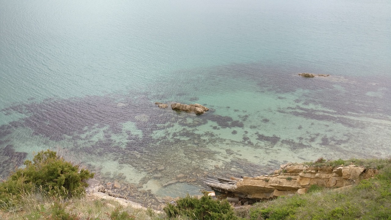 2017-05-12 11.35.05.jpg